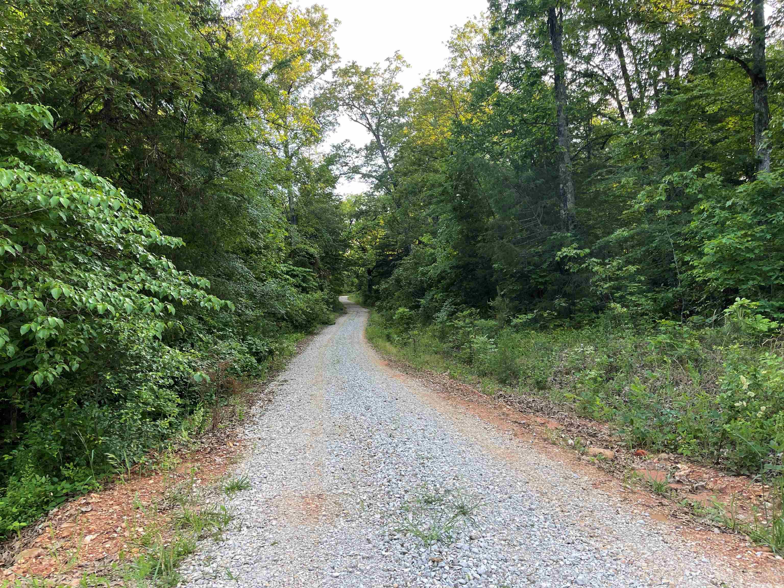 White River is within 5 miles of this unrestricted 9 +/- acres! Whether you are looking for a place to homestead, hunt, or camp out unbothered within a short distance to White River this property is a beauty with easy access. The town of Calico Rock is only 2 miles away but it's so quiet and private you'd never know!