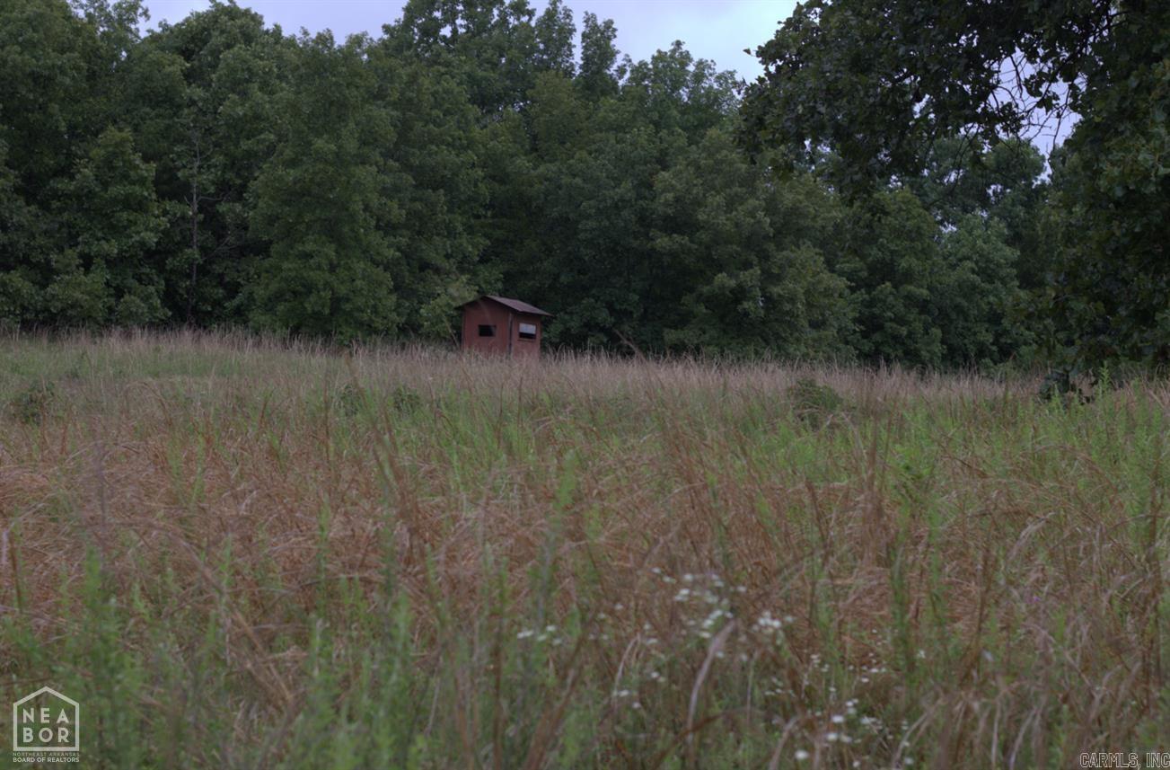 VIOLA ACREAGE - Land