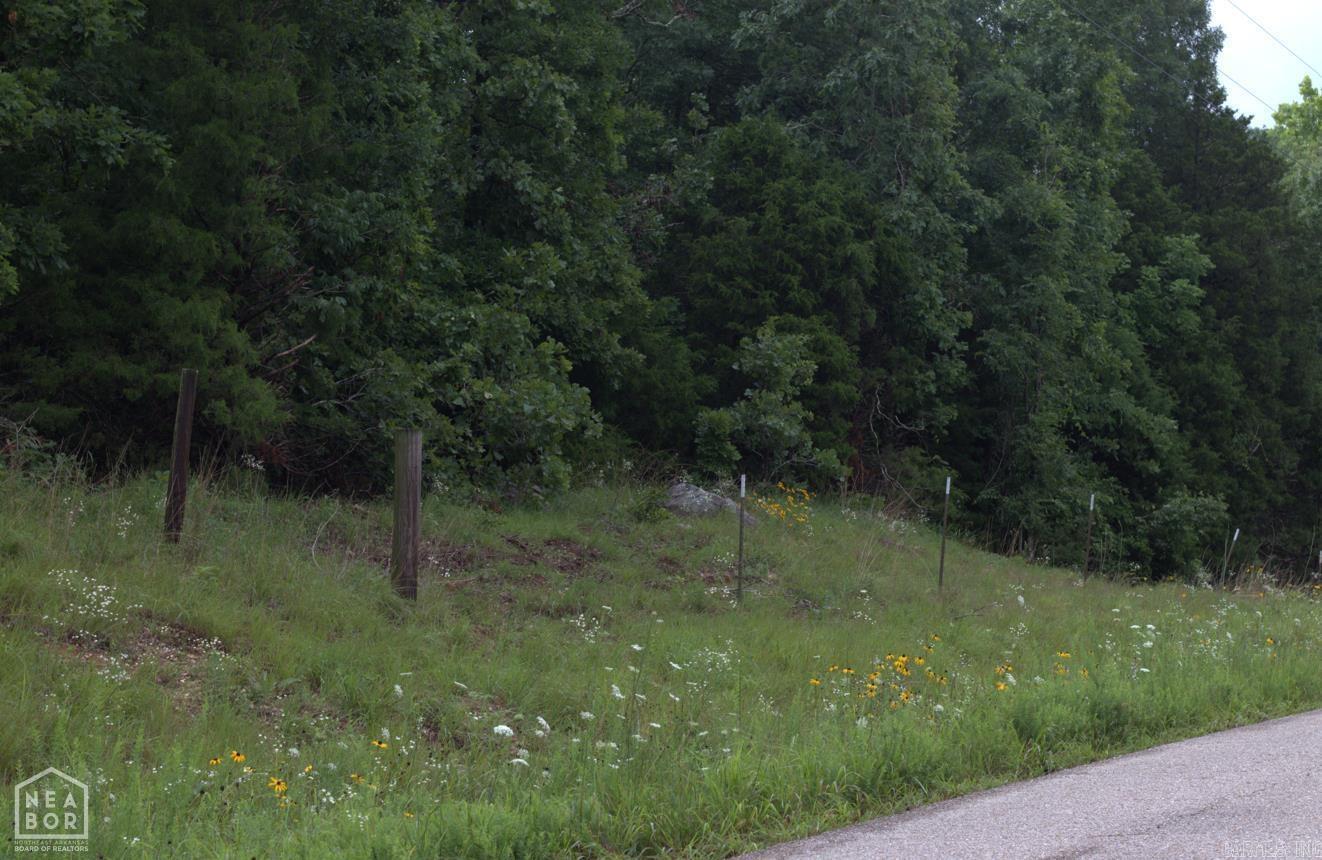 VIOLA ACREAGE - Land