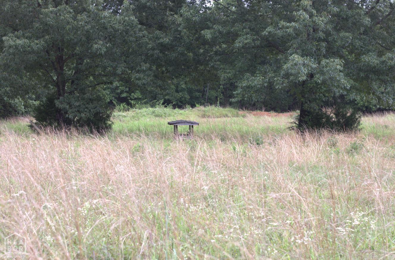 VIOLA ACREAGE - Land