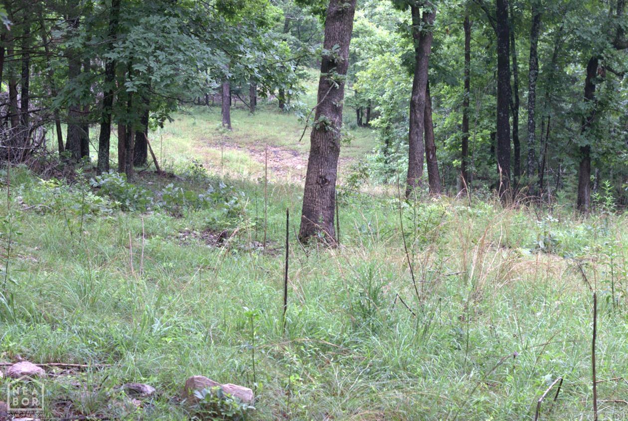 VIOLA ACREAGE - Land