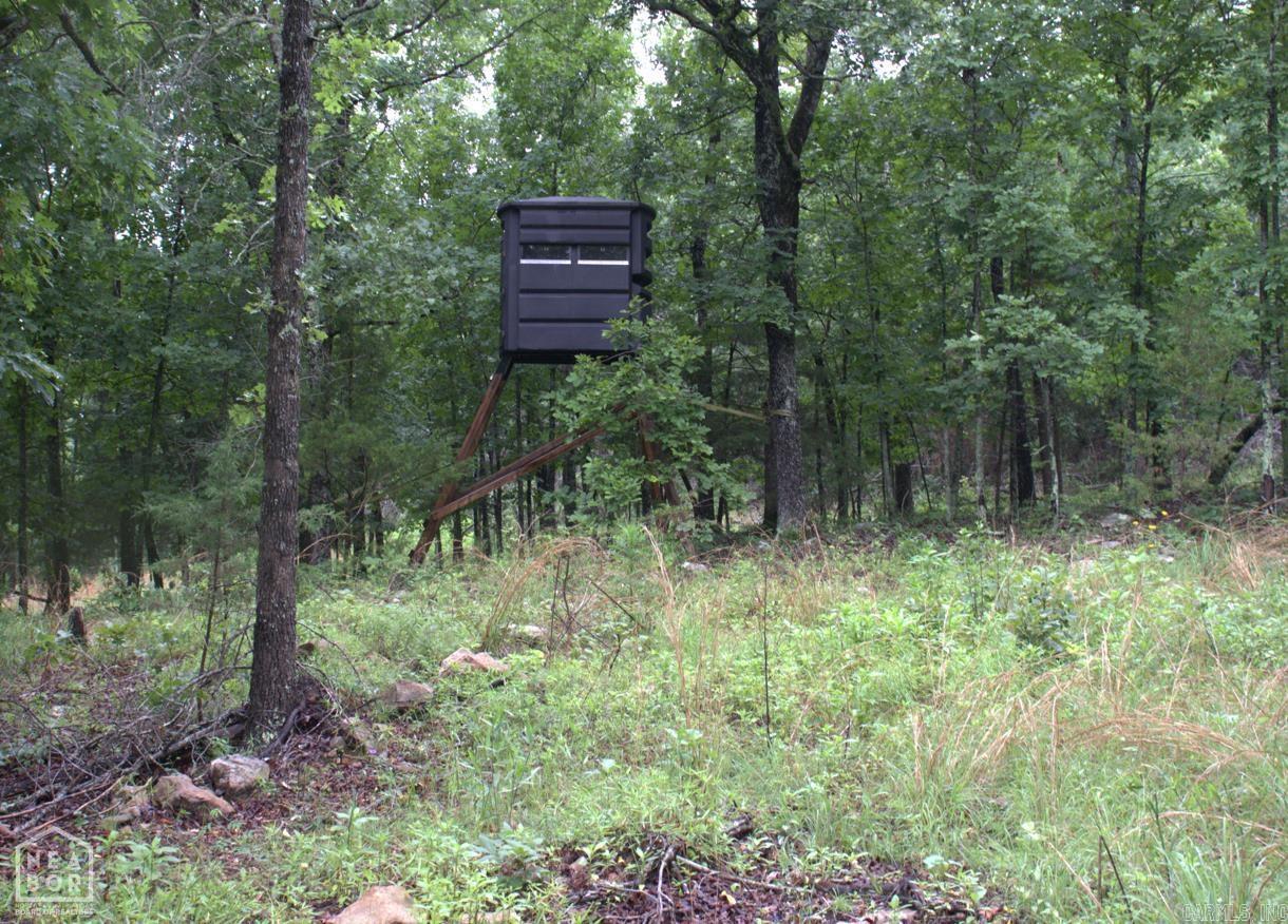 VIOLA ACREAGE - Land