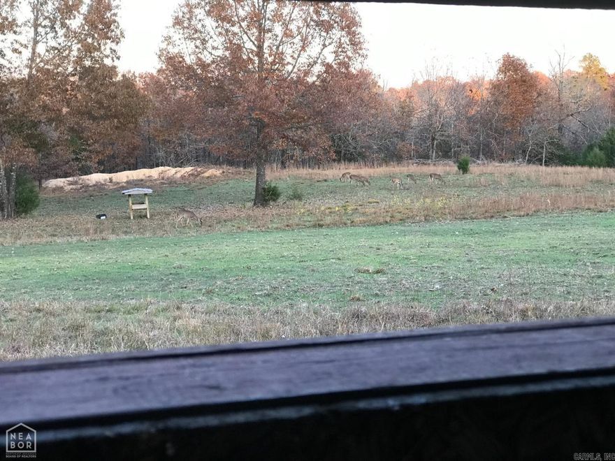 An incredible opportunity to own 71 acres of beautiful, wildlife-rich land in Salem, Arkansas-priced at just $3,400 per acre. This property checks every box for outdoor enthusiasts, investors, or those looking to build their dream retreat.        ?? Property Highlights:        Highway frontage and all four sides for easy access  3 year-round creeks winding through the property  Several established food plots and multiple deer stands  Gated entry for added privacy and security  Electric on-site; water available across the road  Covered in mature hardwoods and abundant wildlifea hunter's paradise!    Located on Sturkie Road, this land offers the perfect blend of seclusion, accessibility, and natural beauty. Whether you're looking to hunt, build, or invest, this tract is a must-see.