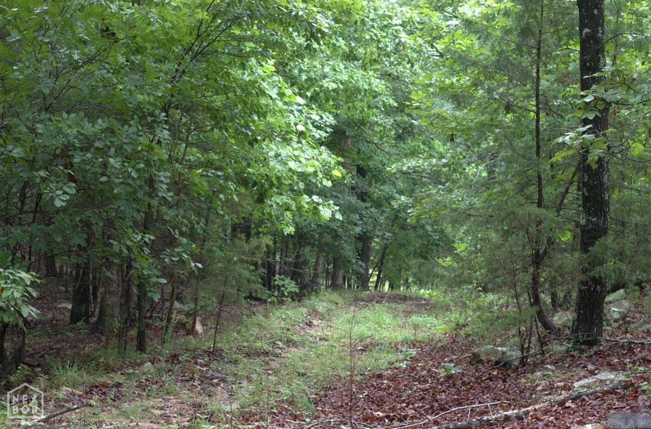 VIOLA ACREAGE - Land