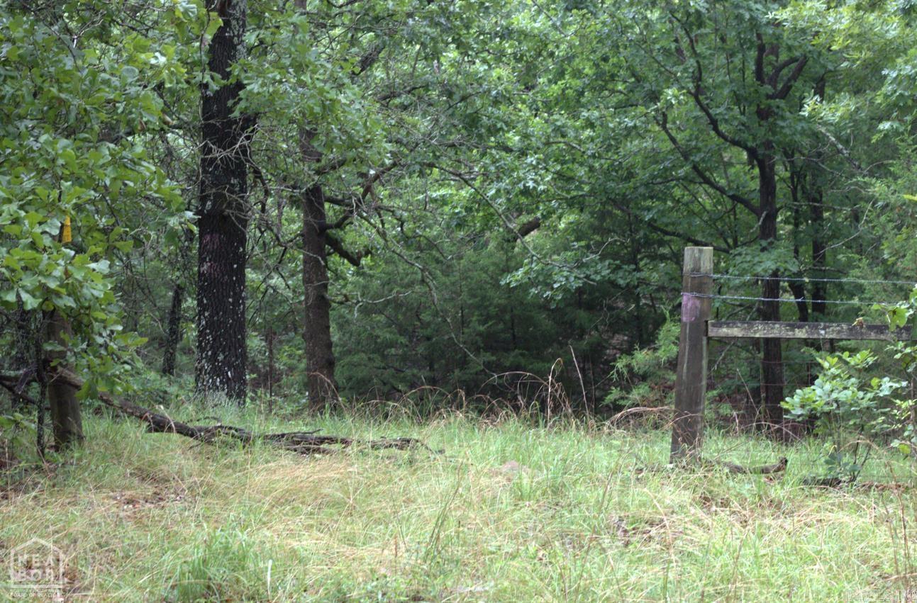 VIOLA ACREAGE - Land