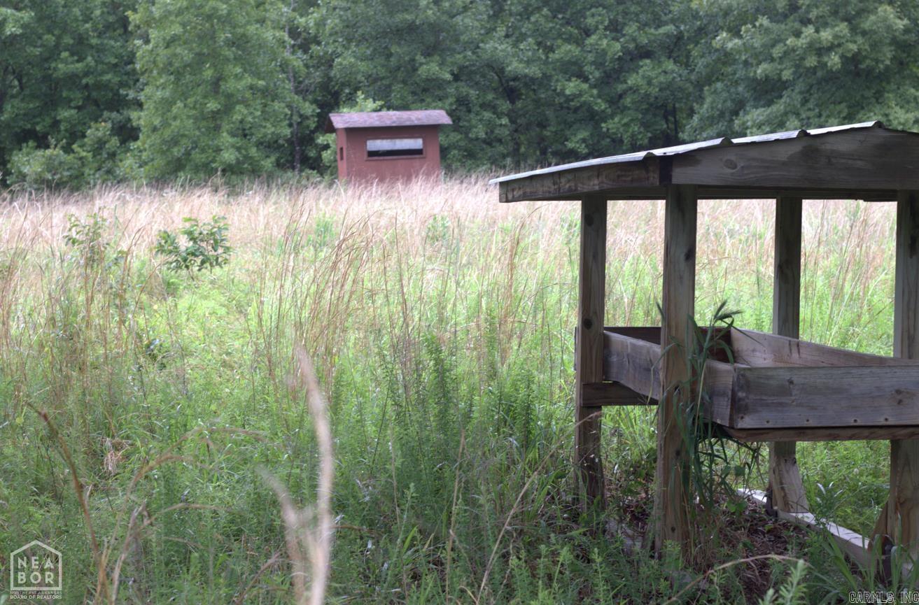 VIOLA ACREAGE - Land