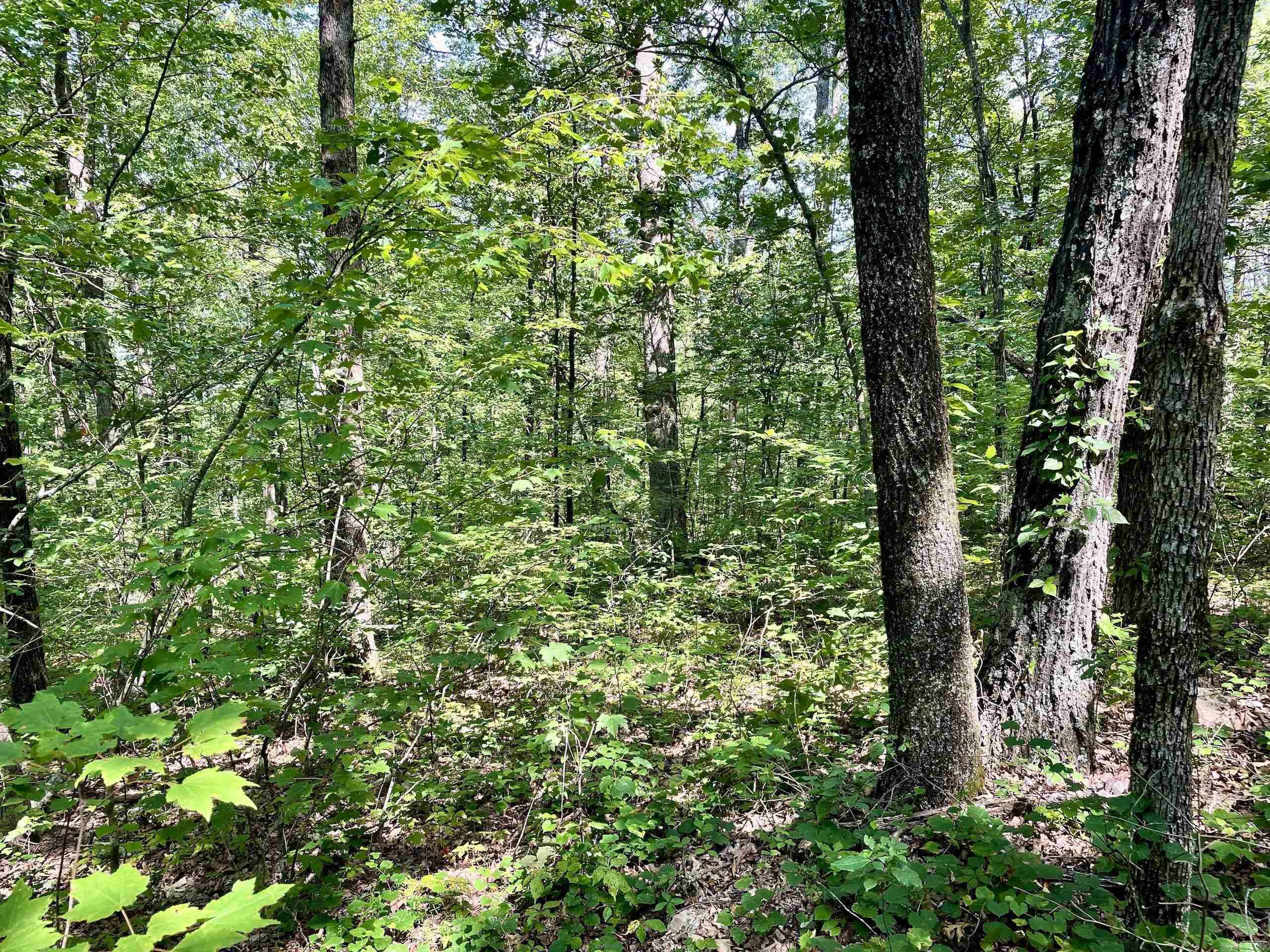 Not in Subdivision - Land