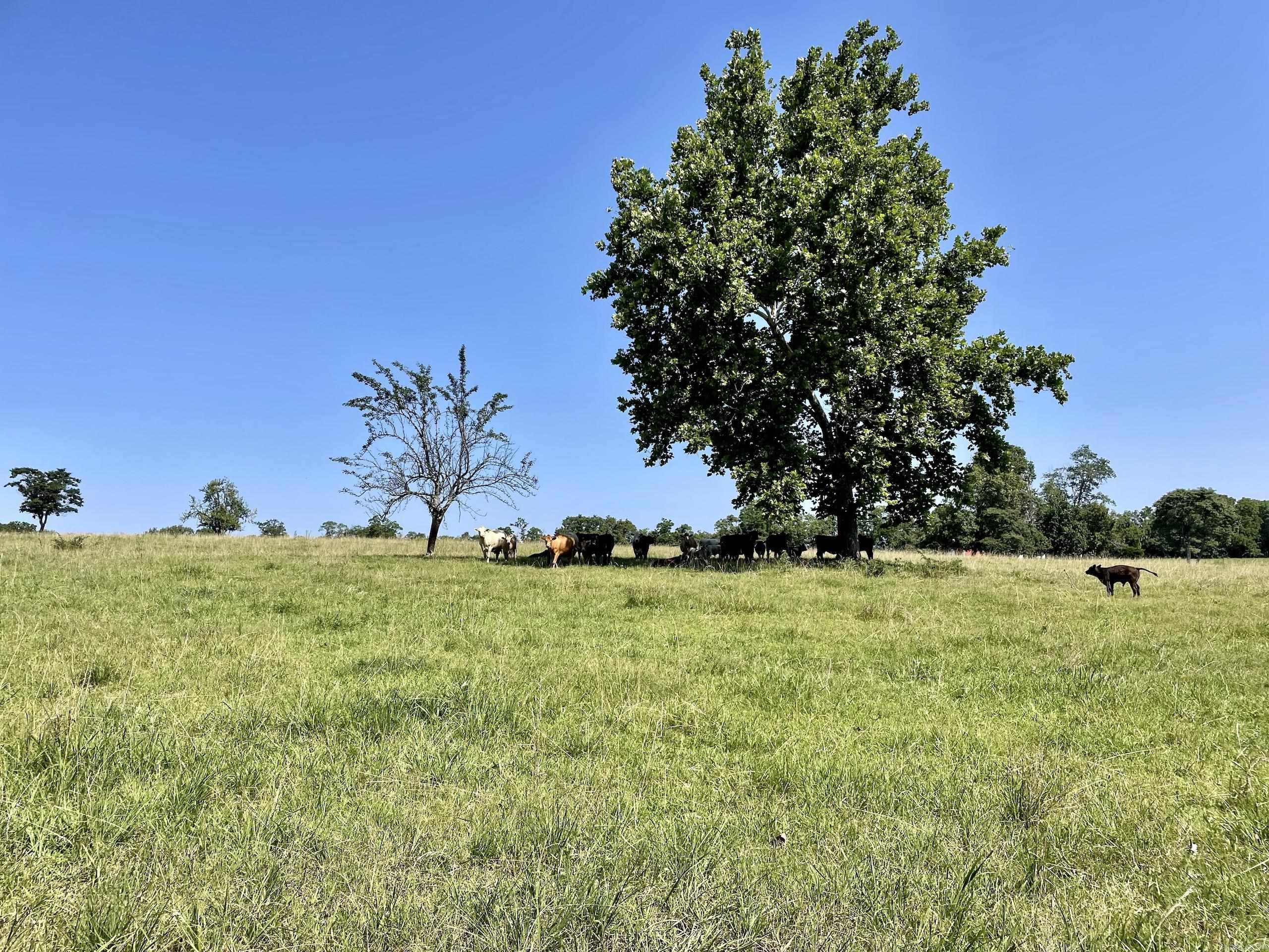 Not in Subdivision - Land