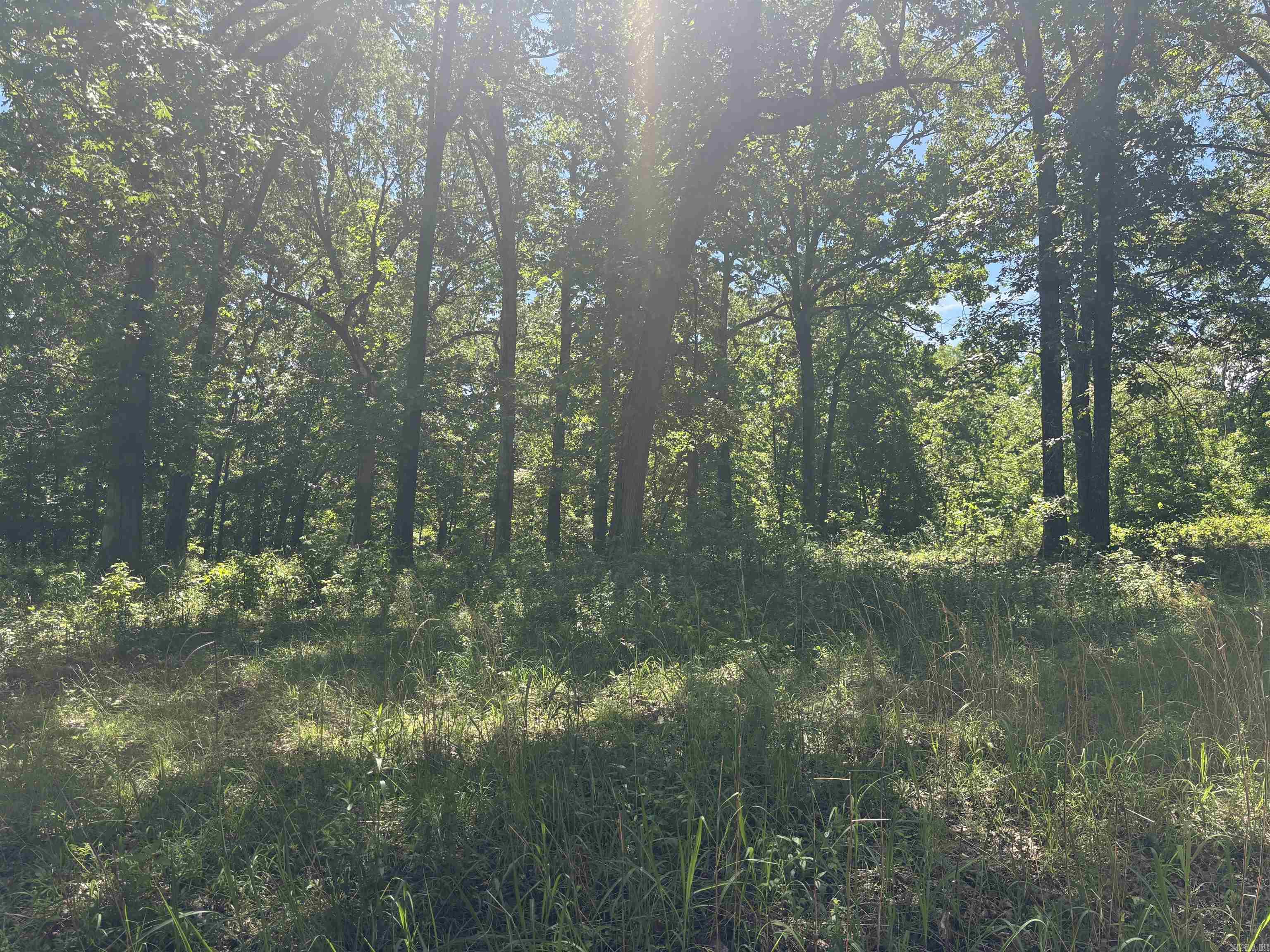 Beautiful 1-acre vacant lot located on Hillcrest Rd in Mammoth Spring, Arkansas. This mostly wooded property features mature timber, offering natural privacy and a serene setting perfect for your dream home or getaway cabin. Enjoy the peaceful surroundings with easy access to town amenities and nearby outdoor recreation. A great opportunity to own a piece of the Ozarks—ideal for nature lovers, investors, or builders.
