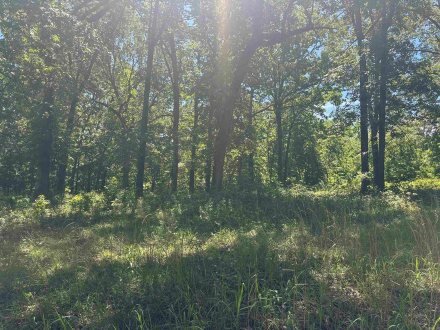 Beautiful 1-acre vacant lot located on Hillcrest Rd in Mammoth Spring, Arkansas. This mostly wooded property features mature timber, offering natural privacy and a serene setting perfect for your dream home or getaway cabin. Enjoy the peaceful surroundings with easy access to town amenities and nearby outdoor recreation. A great opportunity to own a piece of the Ozarks—ideal for nature lovers, investors, or builders.