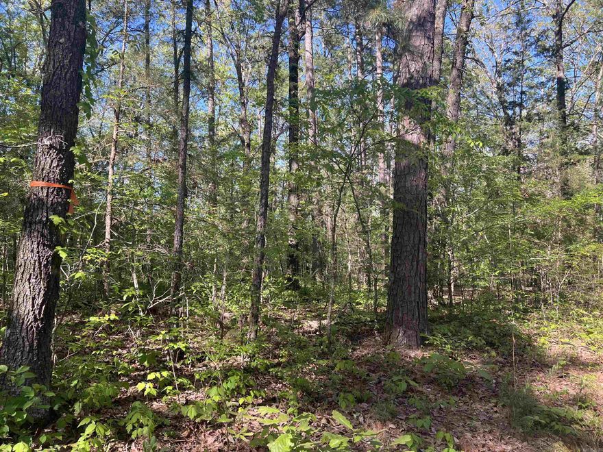 Scenic 10.35-Acre Wooded Retreat Near Buffalo National River. Discover your perfect getaway on this beautiful 10.35-acre (m/l) wooded parcel, surrounded by mature pine and stately oak hardwoods. Whether you're dreaming of a peaceful weekend retreat or a future home tucked into nature, this property offers the ideal setting. Located just 2.8 miles from the Woolum Access of the Buffalo National River Park, outdoor adventure is always within reach—kayaking, hiking, and camping are practically in your backyard. Tranquil, private, and full of potential, this is a must-see opportunity for nature lovers and outdoor enthusiasts alike.