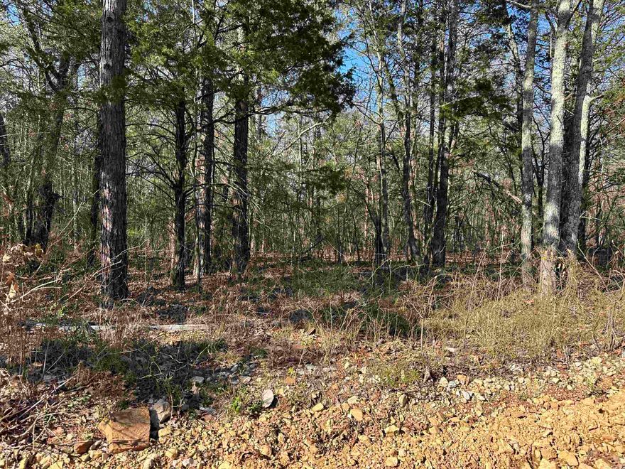 Twelve wooded acres located out of town but close enough! Electric and Association water available. Many nice building sites with endless possibilities. VERY motivated seller!
