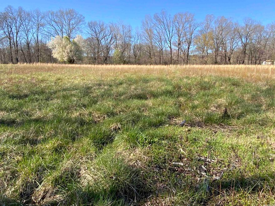 You must see this beautiful property located on the Famous Little Red River! 2+ level acres to build your dream home. You can enjoy the sound of the river and the beauty of it from your back deck! Ramsey Landing 1/4 of a mile from the property to launch your boat! Come check it out and make this river property yours and build your vacation or forever home!!!