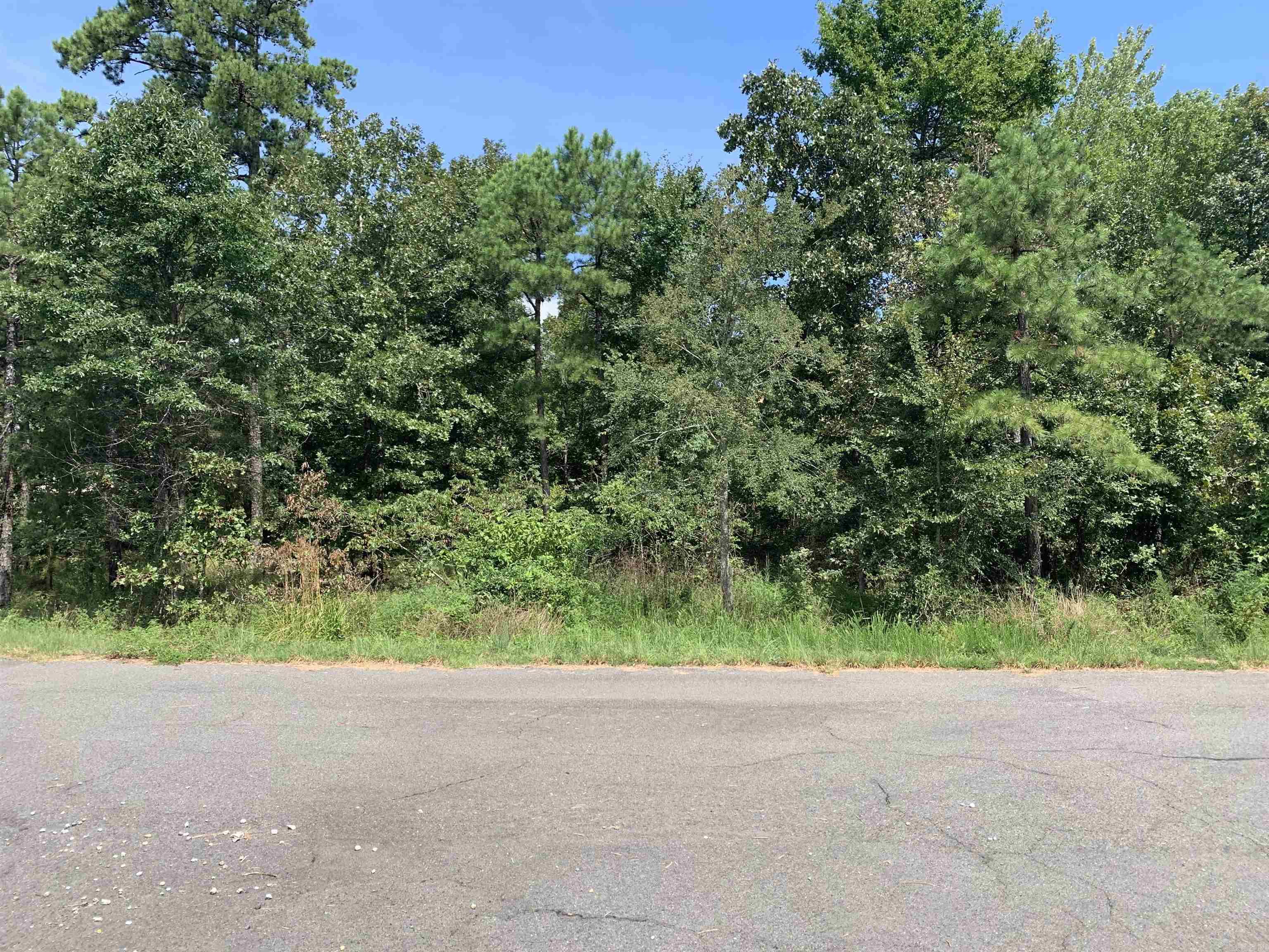 Beautiful building lot in the San Pablo Subdivision located in Hot Springs Village. Make this one yours and begin enjoying all the Village amenities. New buyers to the Village have a $300.00 buy in fee payable to the POA at closing.