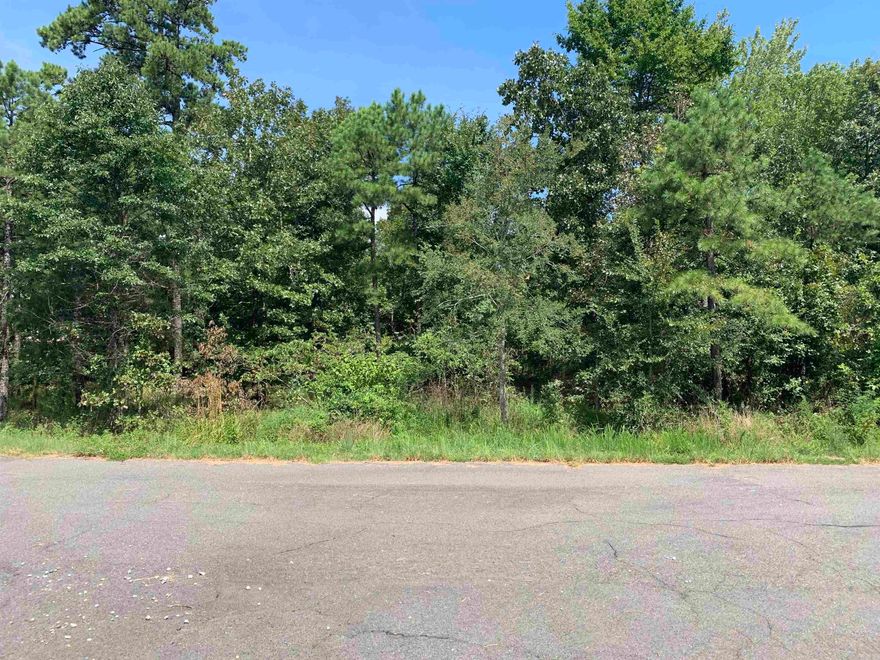 Beautiful building lot in the San Pablo Subdivision located in Hot Springs Village. Make this one yours and begin enjoying all the Village amenities. New buyers to the Village have a $300.00 buy in fee payable to the POA at closing.