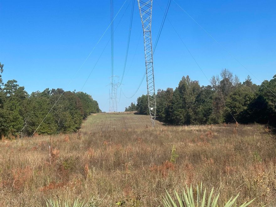 This pristine property adjoins Poison Springs State Forest and has gravel road frontage. Beautiful creeks flow through through the property most months of the year. With its gentle rolling terrain, this would make a great area to set up a hunting camp or a quiet little retreat.