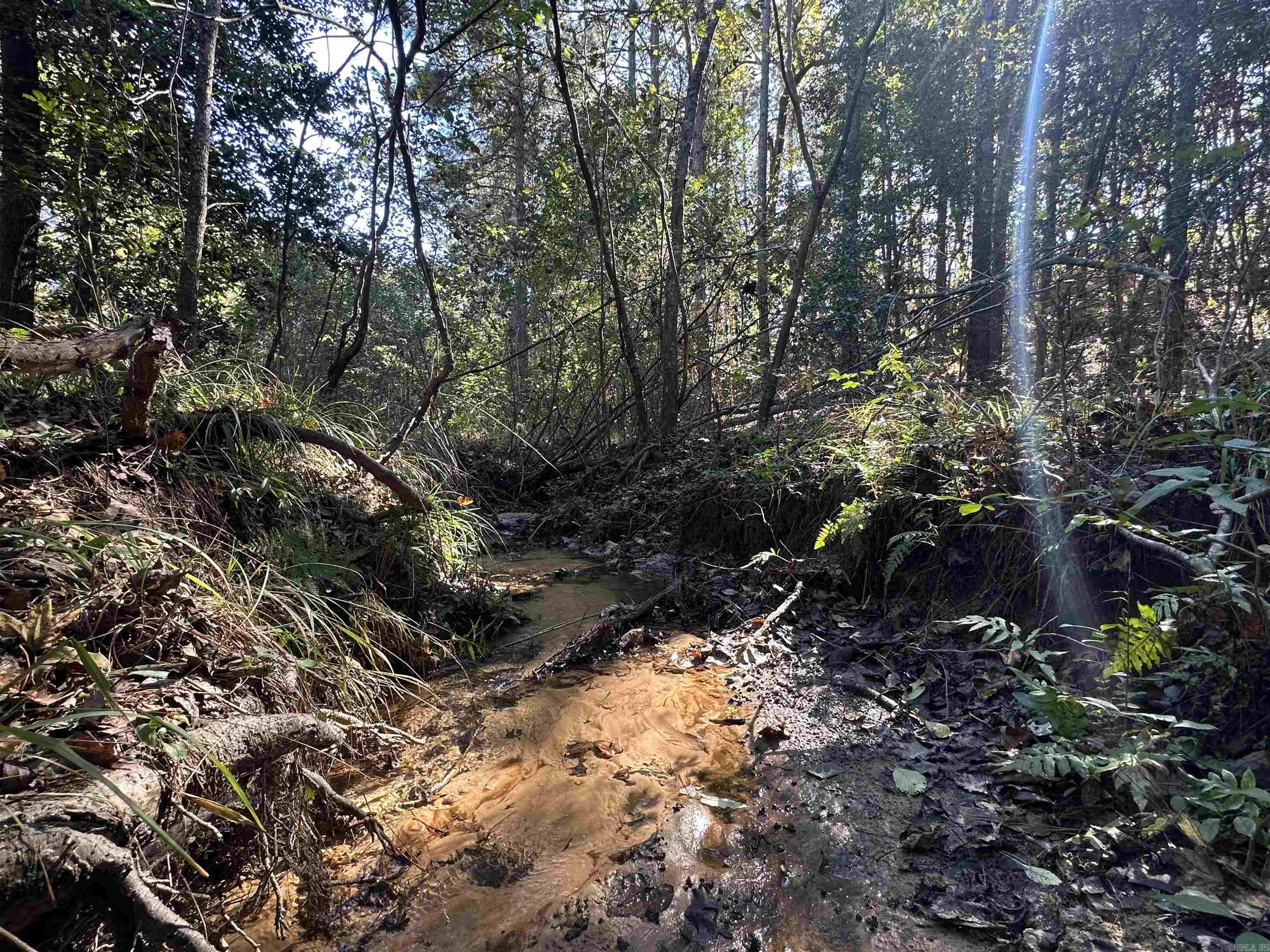 Metes & Bounds - Land