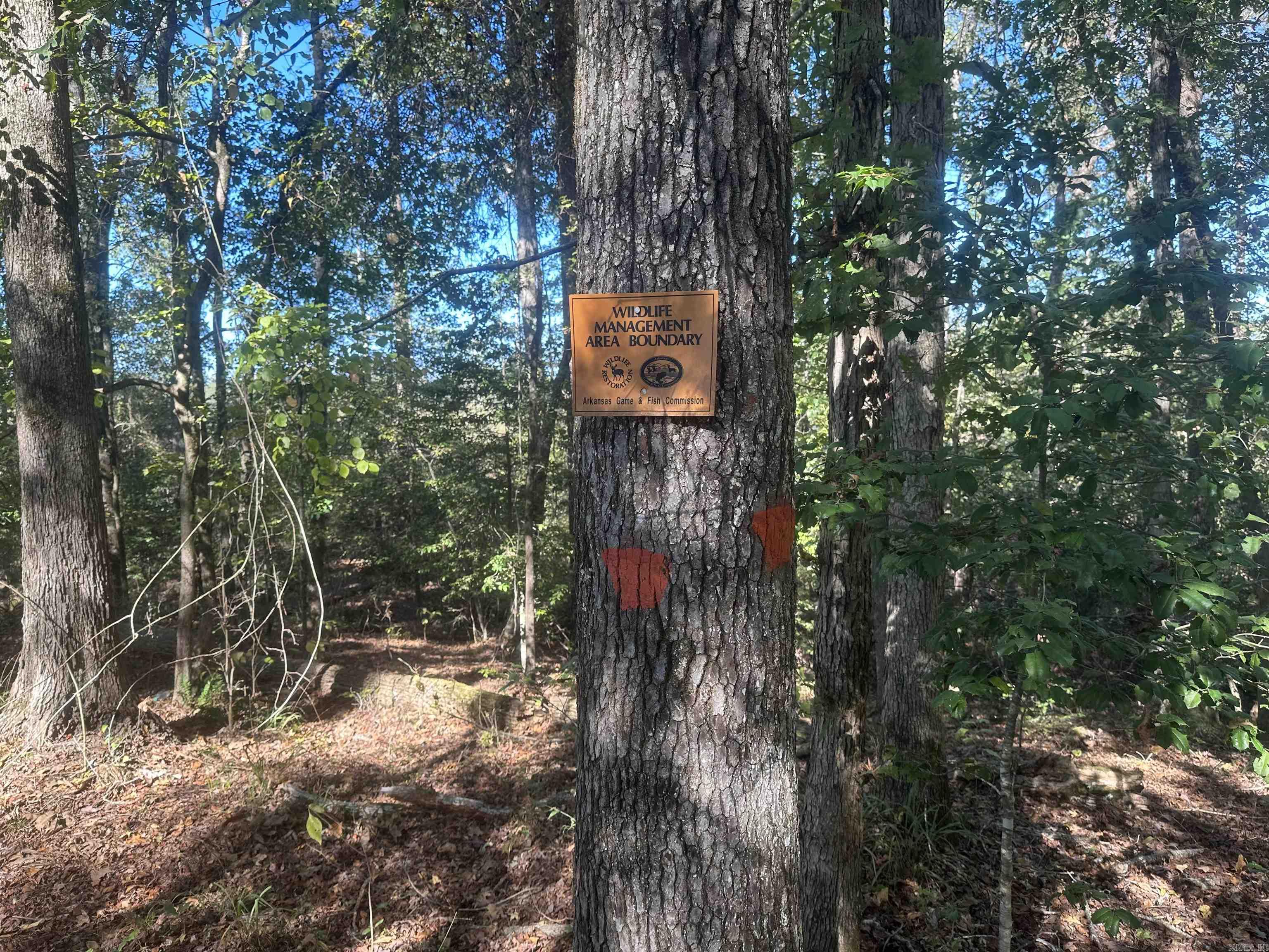 Metes & Bounds - Land