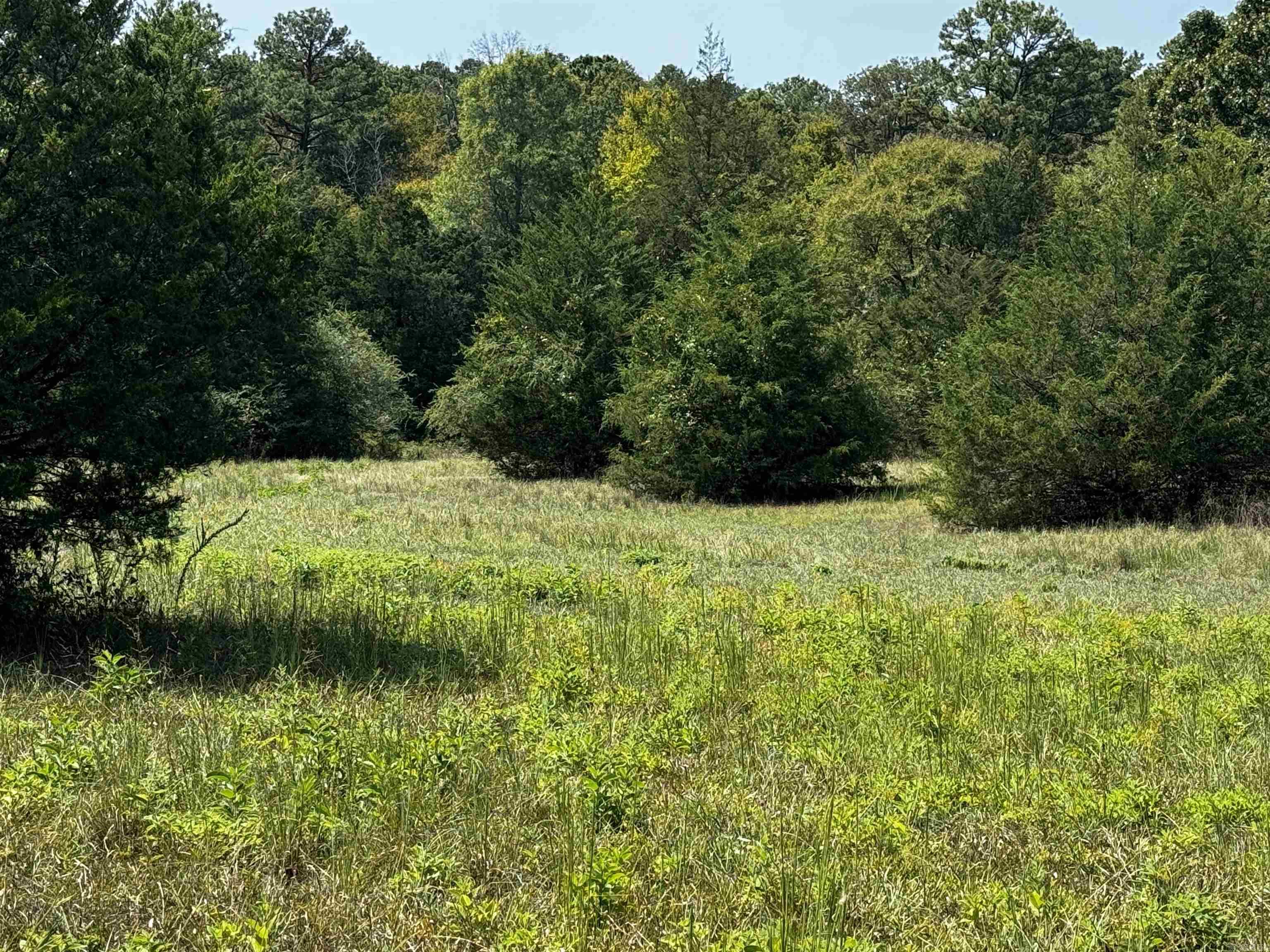 Joins National Forest in Oden AR. This 1.9 acre property is located off of Hwy 88. Close to Serendipity Trail. City water available. Unrestricted and has a survey. Park your camper, build yourself a cabin. This property is just down the road from the Ouachita River. 30 minute drive to Mena AR. Call today for a showing!