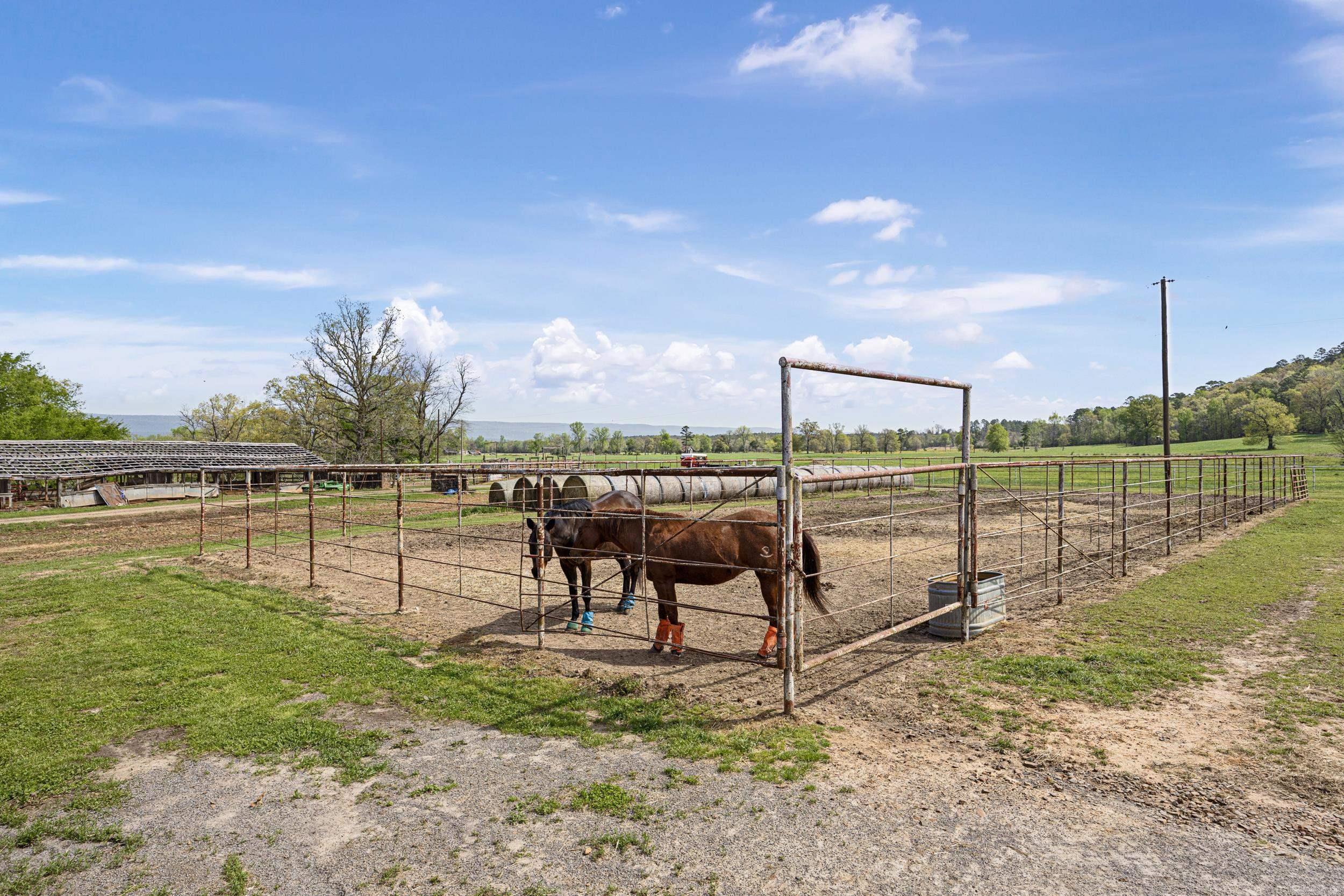 Metes & Bounds - Farm