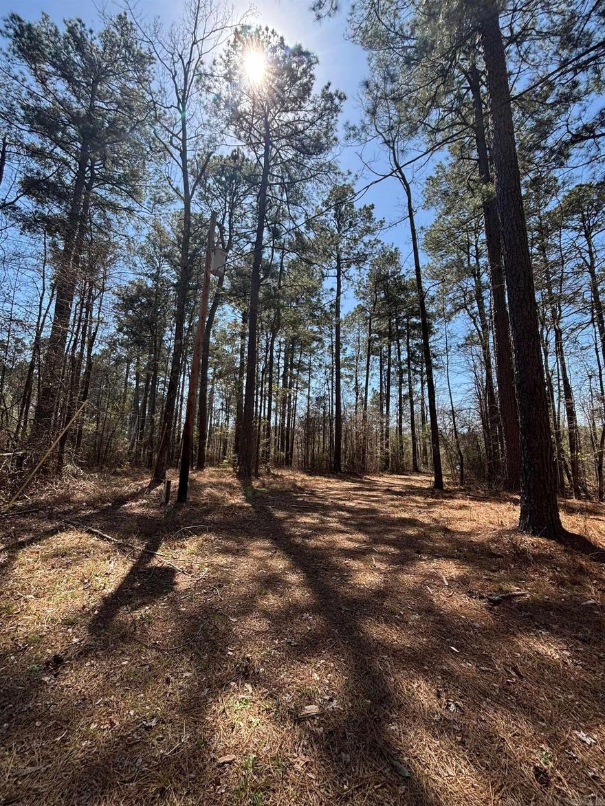 Discover this 12.58-acre hunting camp near Rison featuring a private gated entrance and a fully established setup, ready for immediate use. This beautiful tract offers a great mix of mature pine timber and open areas, providing the perfect setting for hunting, weekend getaways, or your own private retreat.  The property is thoughtfully set up with a gated driveway for privacy, three cabin-style buildings that can comfortably sleep multiple people, a separate full bathroom building, and two storage sheds for equipment and gear. Whether you’re hosting friends, family, or enjoying a quiet escape, everything is already in place.  Utilities are a major plus, with electric and water already run to the property (not currently turned on), saving you time and expense when getting started.  Located just outside of Rison, you’ll enjoy peaceful country living while still being conveniently close to town. This is a rare opportunity to own a turnkey recreational property with endless potential to make it your own.