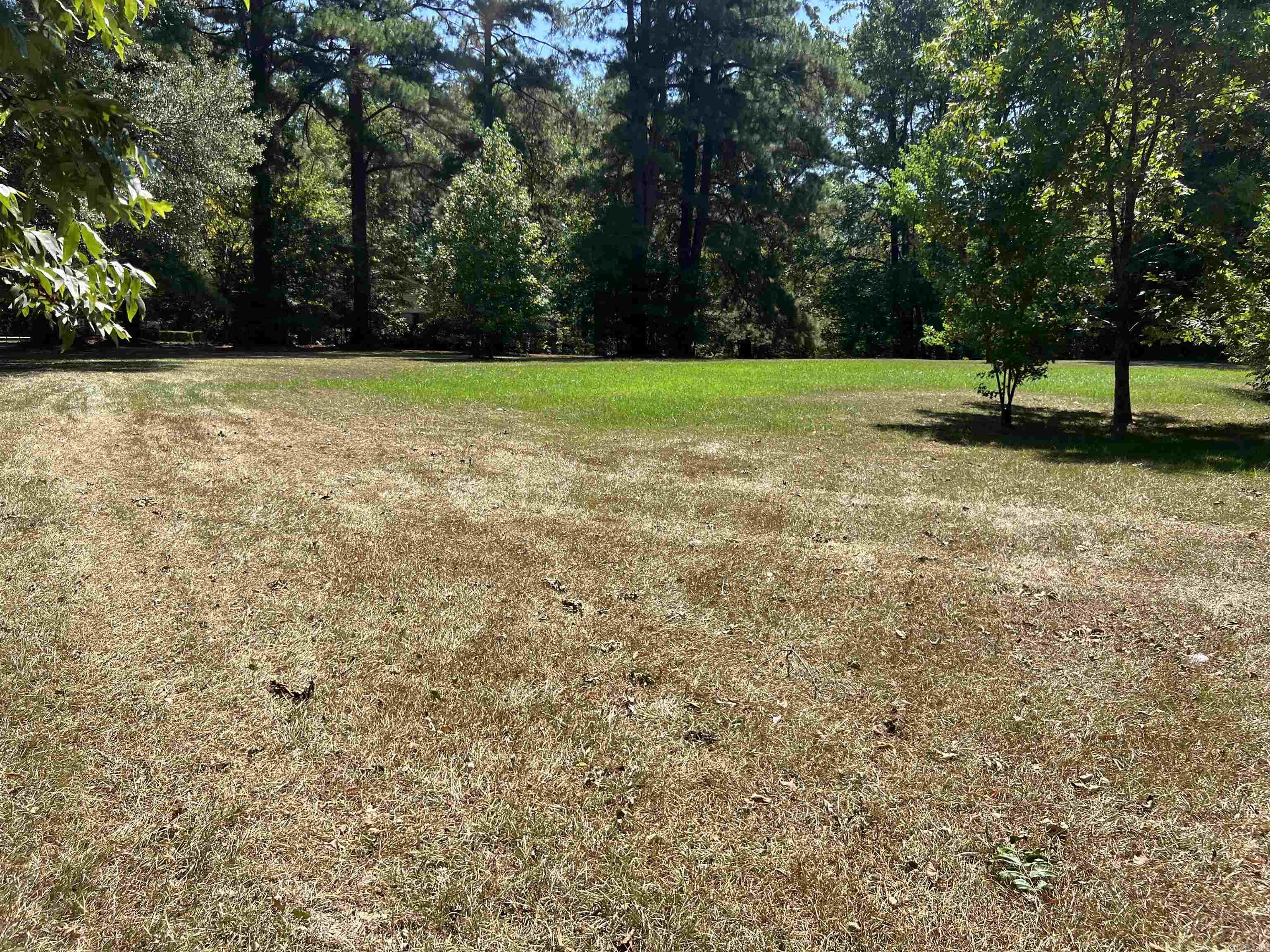 Brentwood - Residential