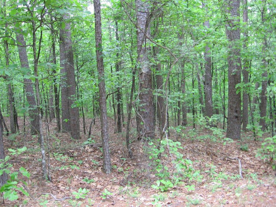 WONDERFUL BUILDING LOT NEAR CORTEZ GOLF COURSE ON CUL DE SAC. HOME NEXT DOOR BACKS UP TO THE COURSE. TAKE YOUR PRIVATE GOLF CART UP TO CLUBHOUSE & RESTAURANT & GOLF. COME CHECK IT OUT.