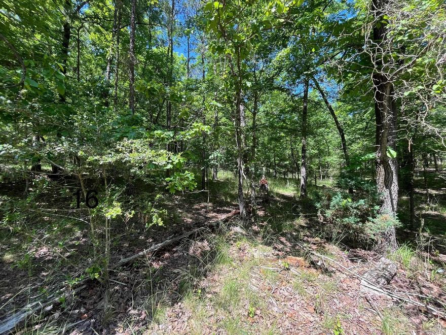 Here is your chance to build your dream home in the sought after Driftwood Point area. Lot 17 is gently sloped with underground utilities and deeded lake access. Located in the desirable Lakeside School District.