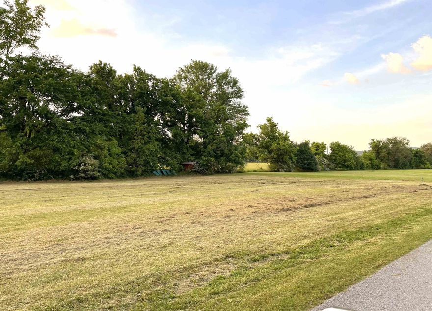 Build Your Dream or Vacation Home – Prime Location Near the River!  Now offering 4 beautiful lots for sale—buy all together for added space and privacy, or individually at $30,000 each to suit your vision and budget!  This is the perfect setting to build your dream or getaway home just minutes from two of Stone County’s most popular restaurants and quick access to some of the best fishing on the river. Enjoy peaceful surroundings, a short drive to the water, and the relaxed lifestyle that makes this area so desirable.  Whether you're investing, building your forever home, or creating a weekend escape, these lots offer the opportunity to enjoy nature, great food, and world-class fishing—all just minutes away.