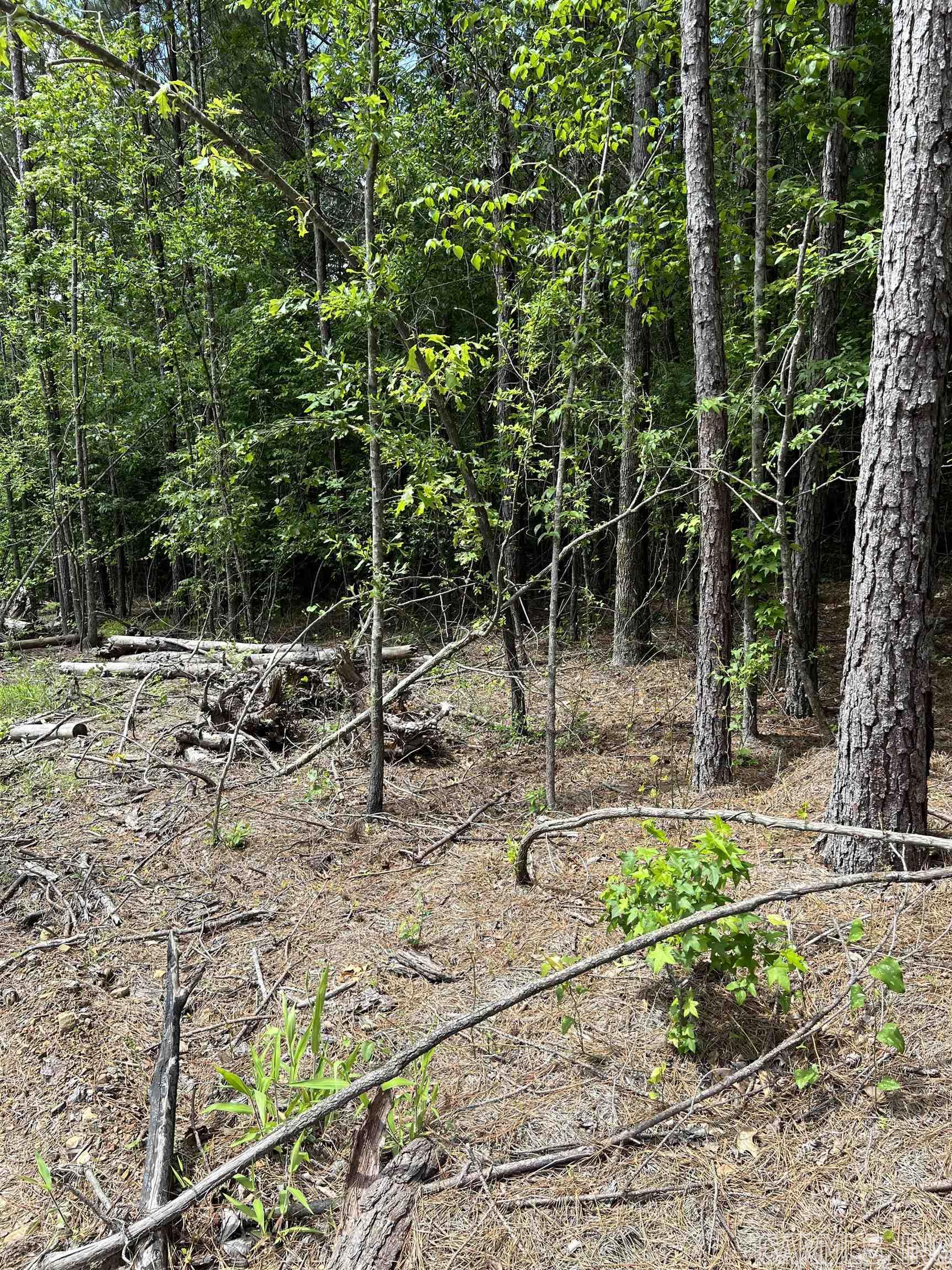 Metes & Bounds - Land