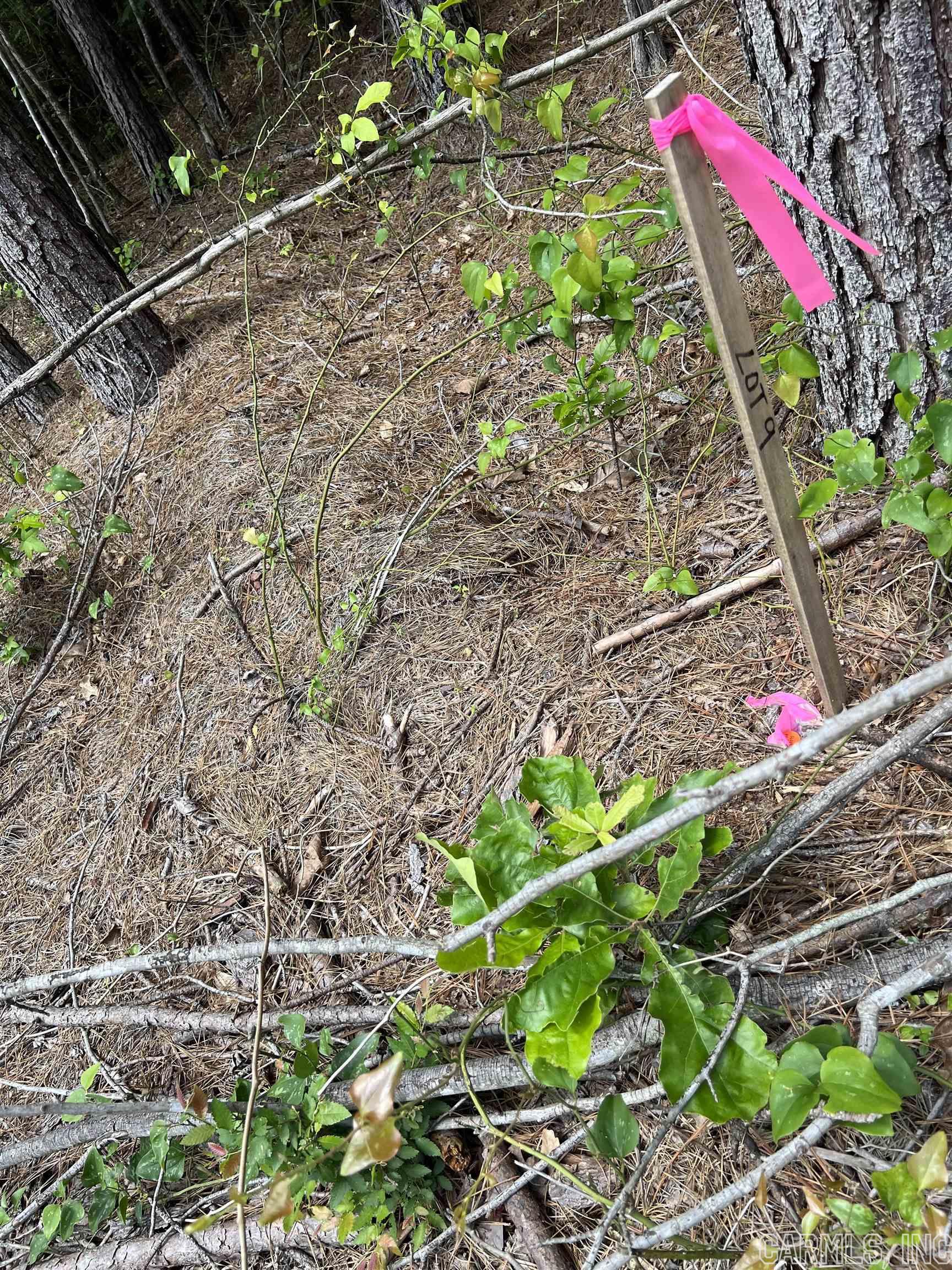 Metes & Bounds - Land