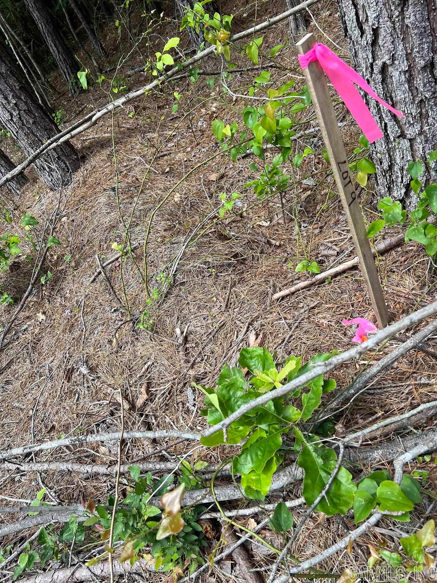 4.66 acres+/-  LOOK!  Mobile home friendly!   You can build or put the new mobile home right on this property . Restriction will apply. Rural Water will be on the opposite side of the road.