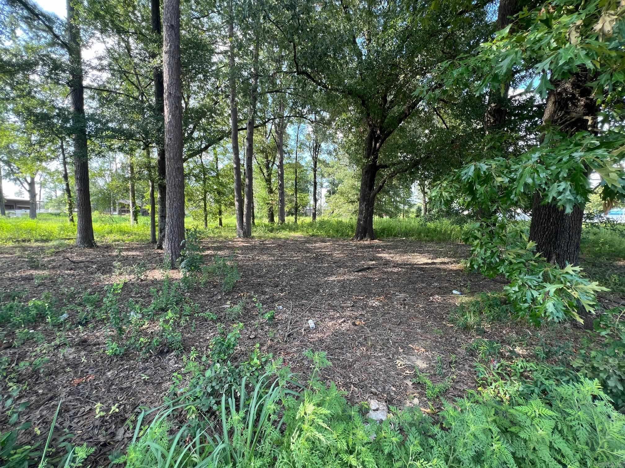 Needing a commercial lot in Little Rock for you business? Zoned I-2 with close and easy access to the interstate. Agents please see docs for a list of permitted uses for the property. Can also be purchased with 6100 Young Road to make the lot size a total of 1.42 acres. Endless possibilities with this property.