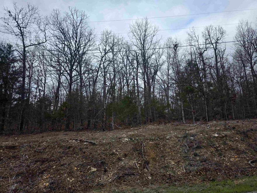 Wonderful and wooded lot in the heart of Cherokee Village. Secluded and away from it all. But close to a main road for quick exits from the Village for shopping, dining and entertainment. Lots of trees and lots of wildlife. Buy this lot and pick your spot to build your dream home or just a getaway cabin. With ownership of this lot, you will have access to all the amenities of Cherokee Village such as the 7 lakes and Two 18-hole golf courses also the Thunderbird Center and swimming pool, mini golf, parks, hiking trails and don't forget about the beautiful Southfork River for fishing, kayaking or just floating down to wet your toes. This is a wonderful lot to purchase and plan for your future home. Call to purchase this one.