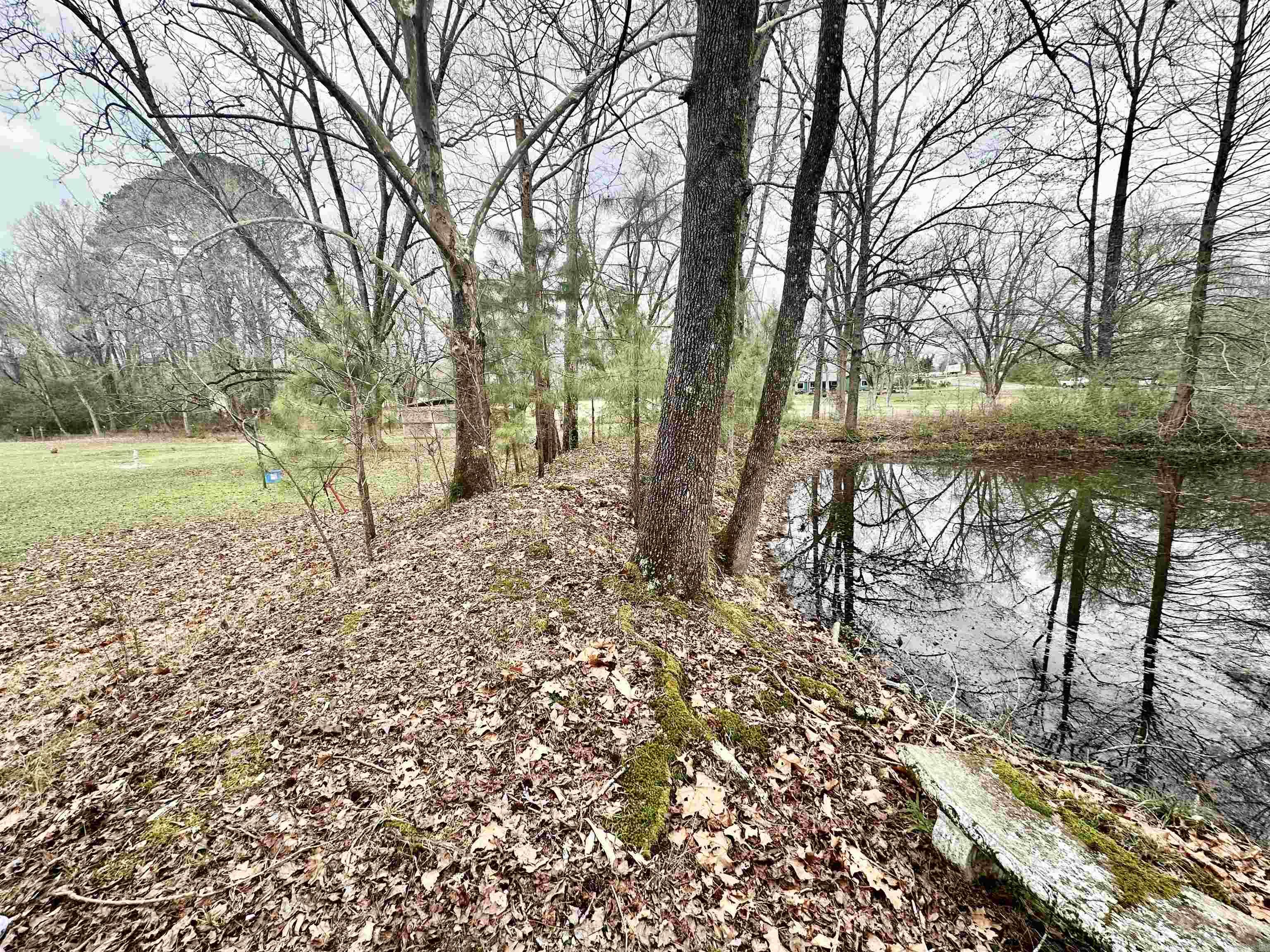 AVONDALE HEIGHTS - Residential