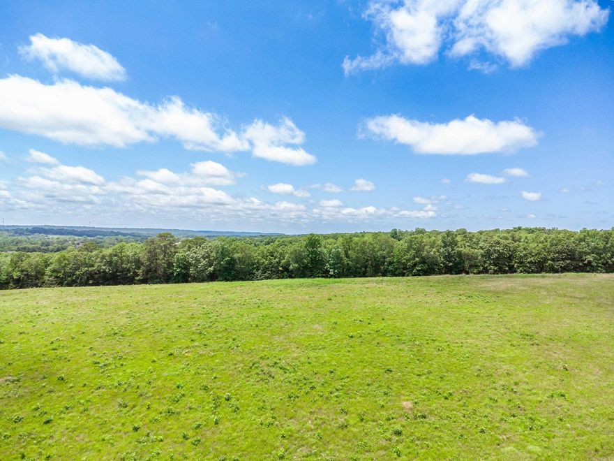 Build your dream home with beautiful views and plenty of privacy. Embrace the opportunity to build your new home in Greenbrier on 2.18 acres. This lot comes with underground utilities, entergy electric, city of guy water, summitt natural gas, SCENIC views, 2000 sq ft min build, plat and C&R on file.