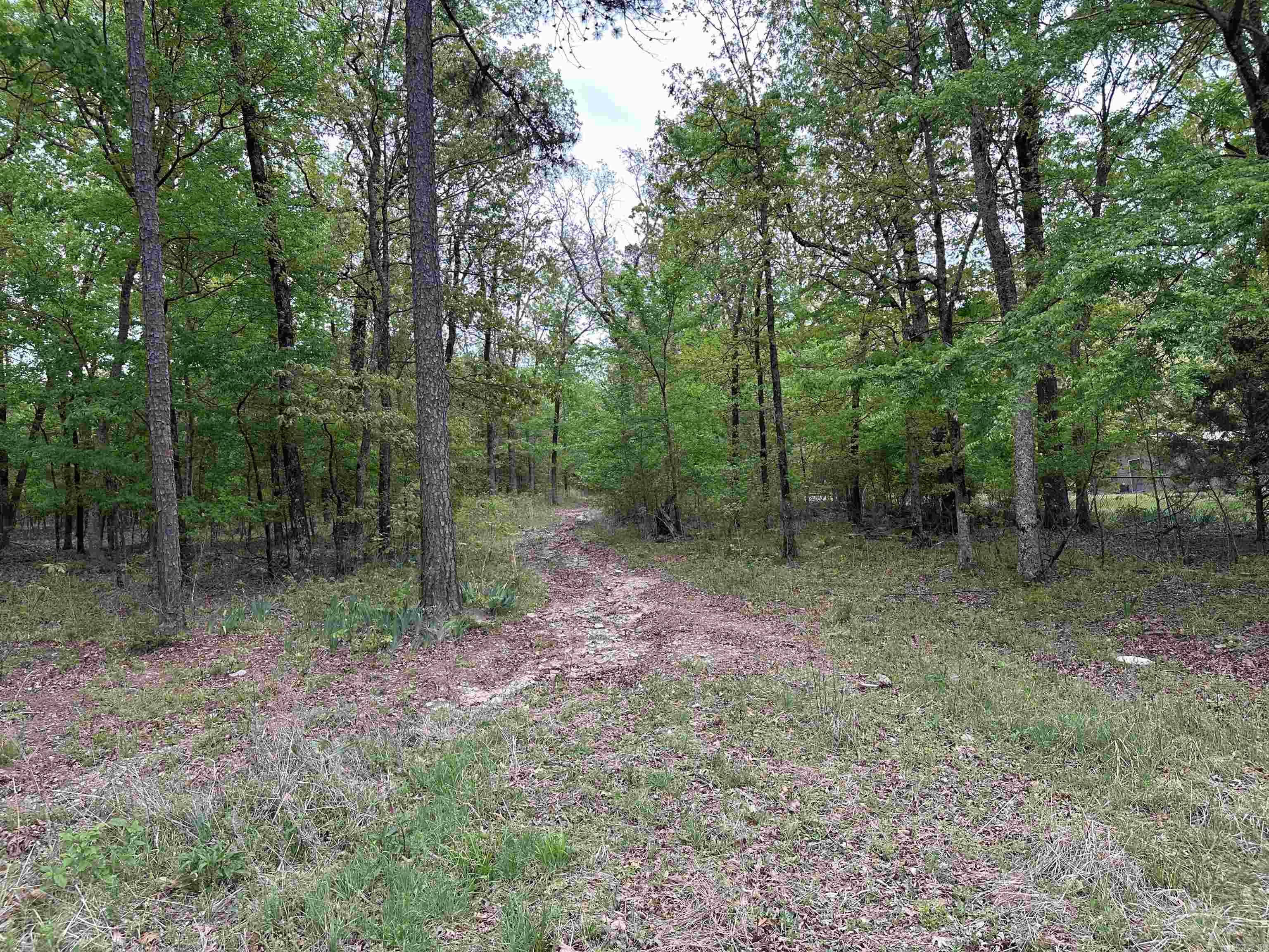 Not in Subdivision - Land