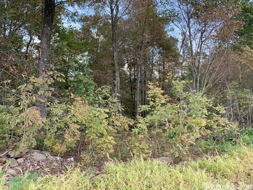 Great investment property bordering Hwy 65 and Big Gunn Road. Great Building sites and some utilities available.