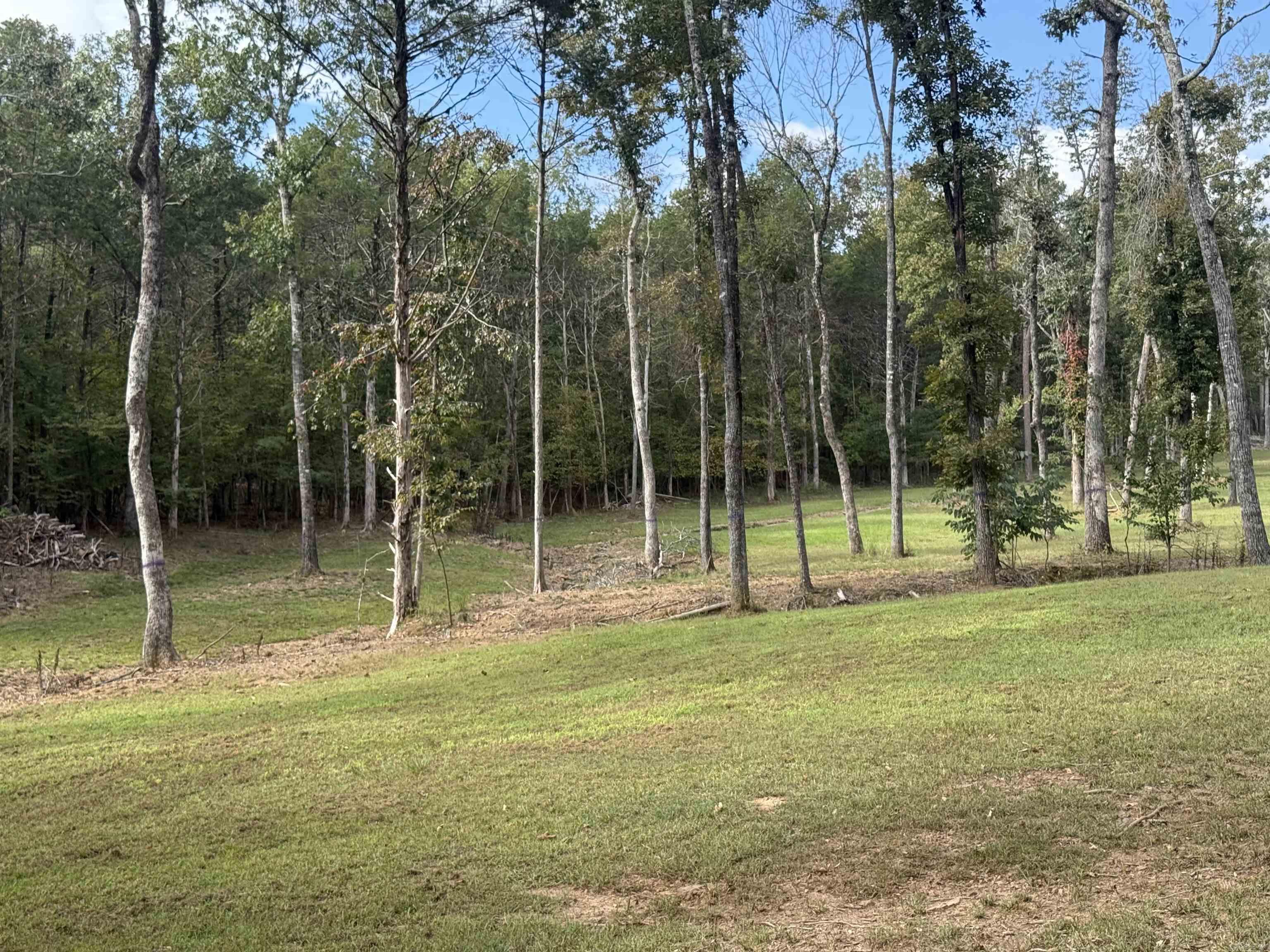 Beautiful 3 acre piece of land that has been cleared, nice spot to put a forever home, for retirement or just a getaway very close to the beautiful Greers Ferry Lake. There are two campers on site that will convey with bill of sale from the current owner.