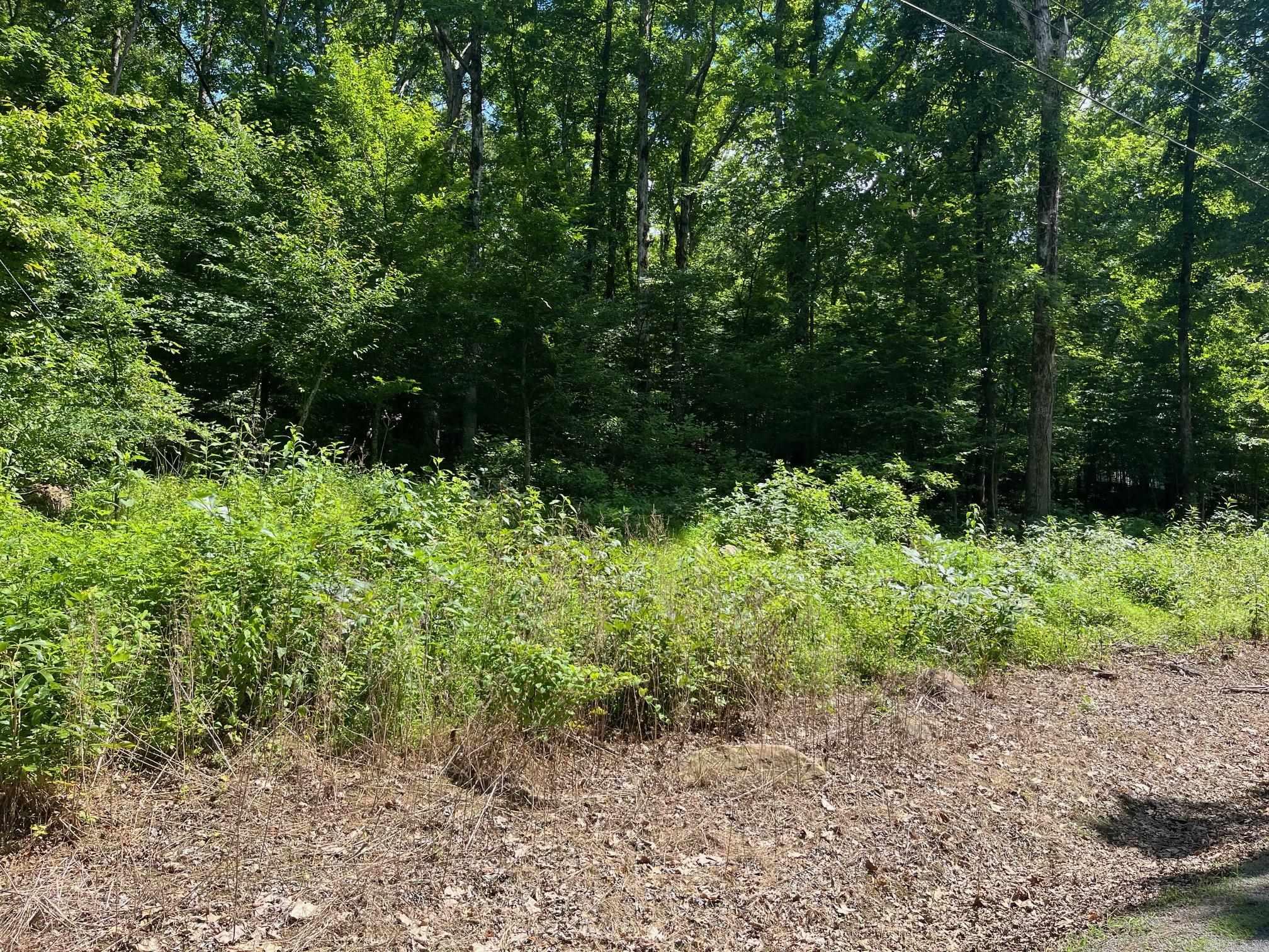 00-10-09 River - Land