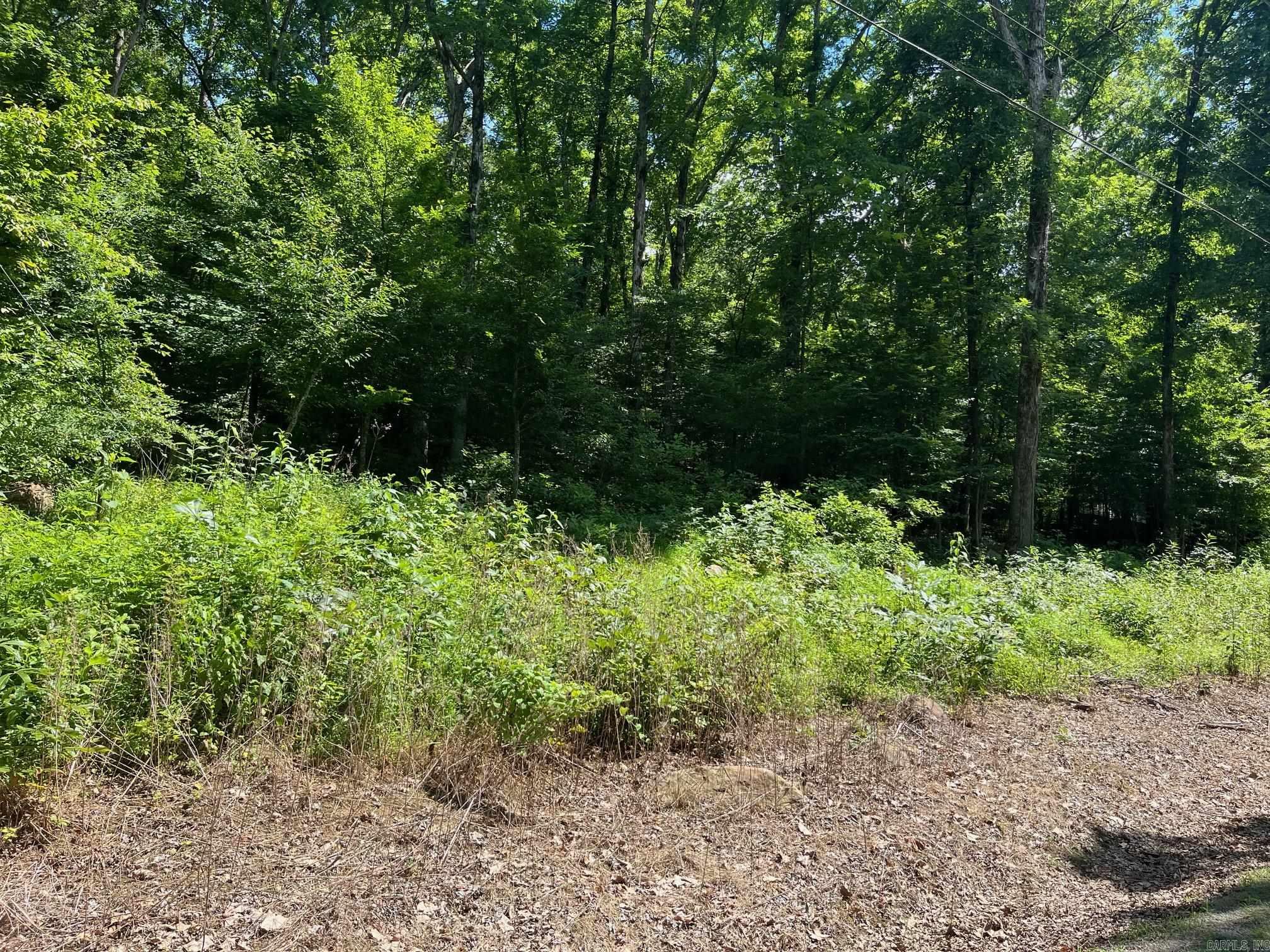 00-10-09 River - Land