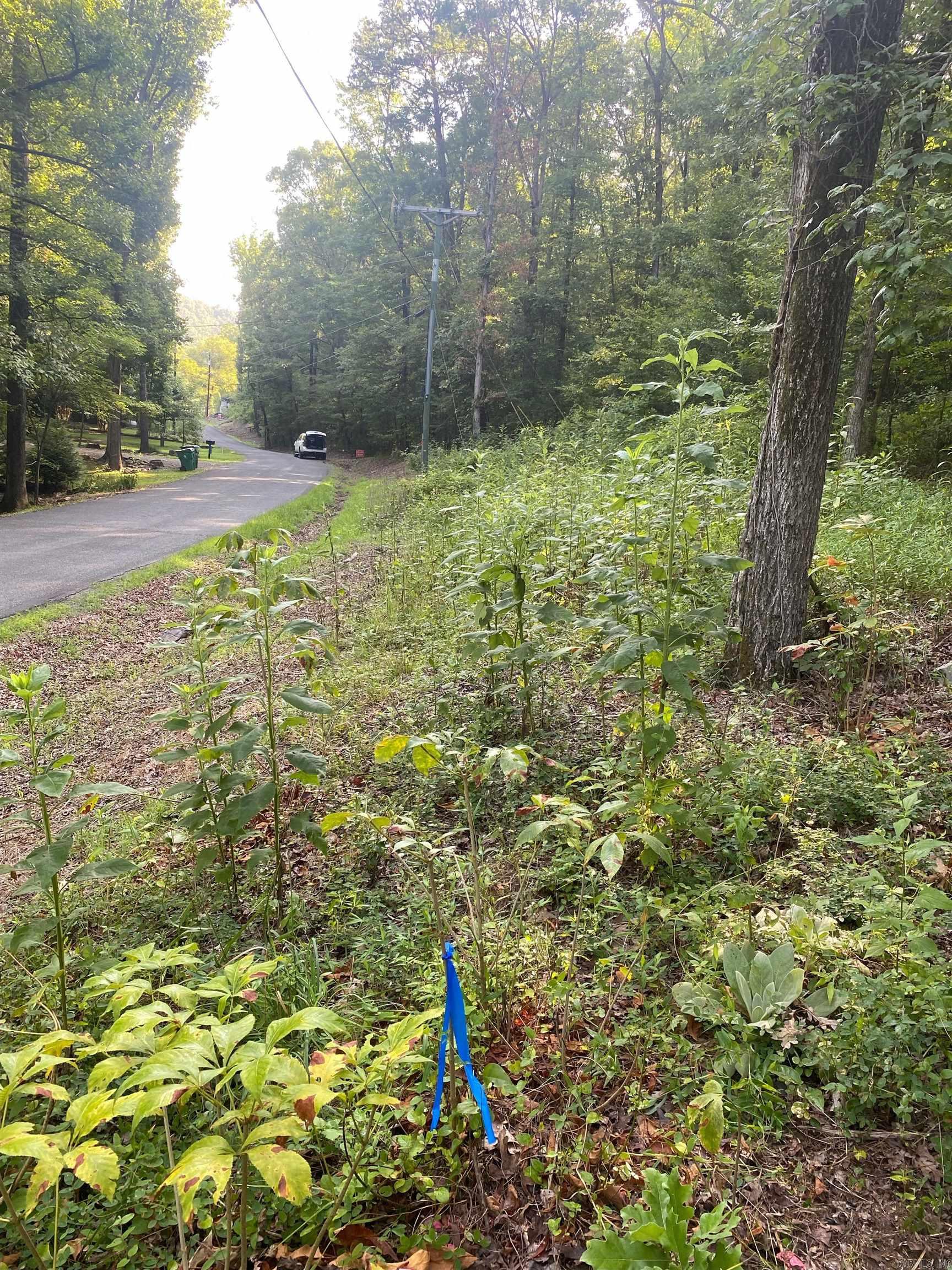 00-10-09 River - Land