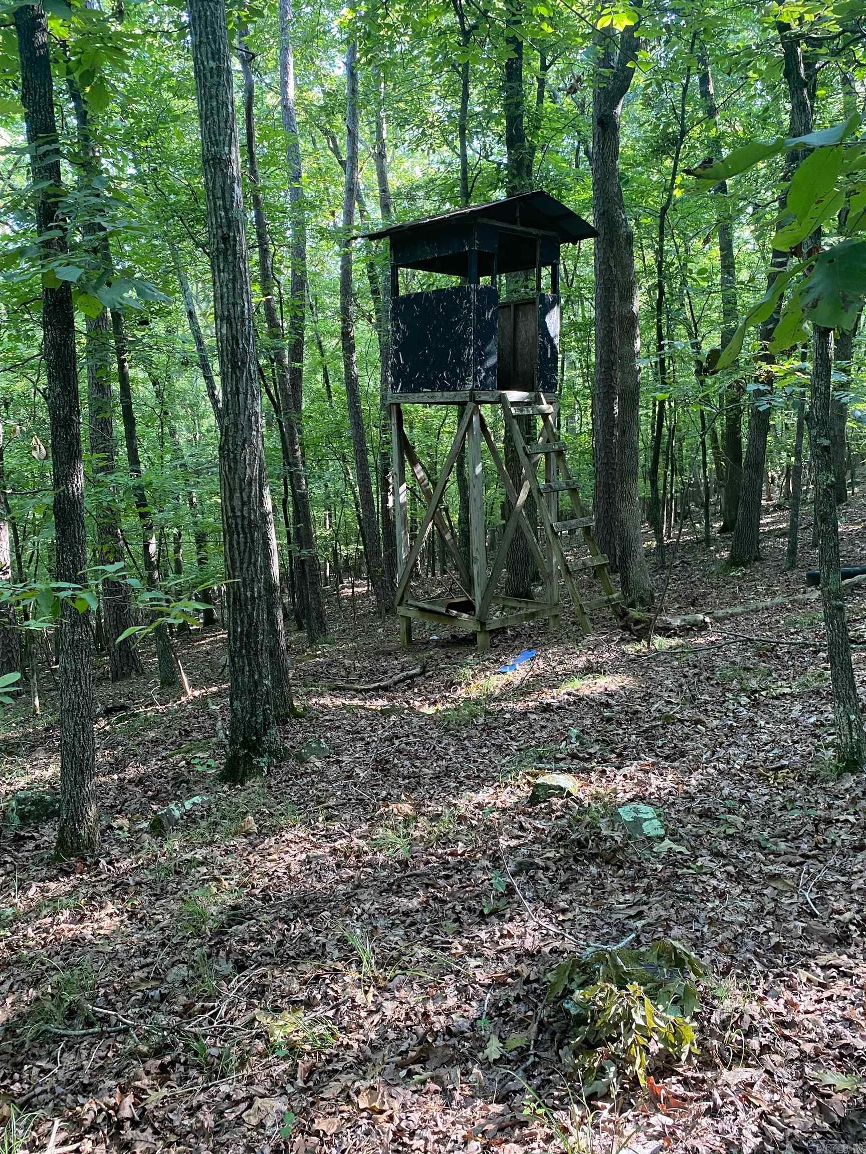 00-10-09 River - Land