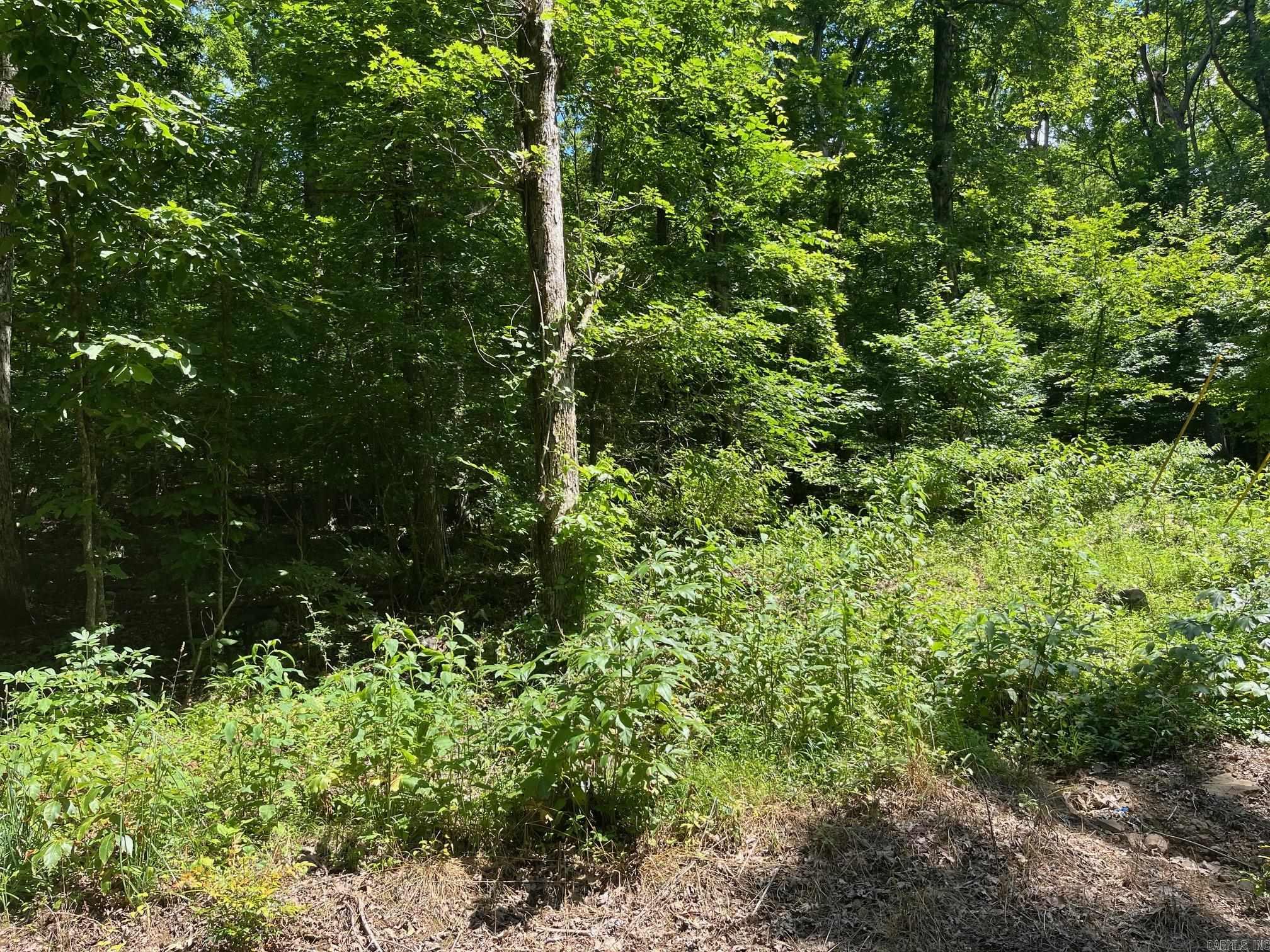 00-10-09 River - Land