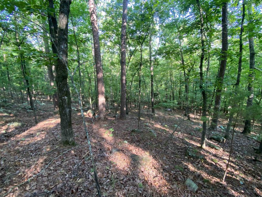 If you are a trout fisherman; this property is for you. This property is just about a half a mile to the Little Red River Trout Dock. The river is across the street from the property. The lots are 47 and 48 1.6 acres. Property has been perked for a 3-bedroom septic system. Electricity and water are at the road in front of the property.  It is a great place to tent camp, put a camper on it, build a tiny house or build your dream home. The lots are just up the road a few feet from the 633 lots.