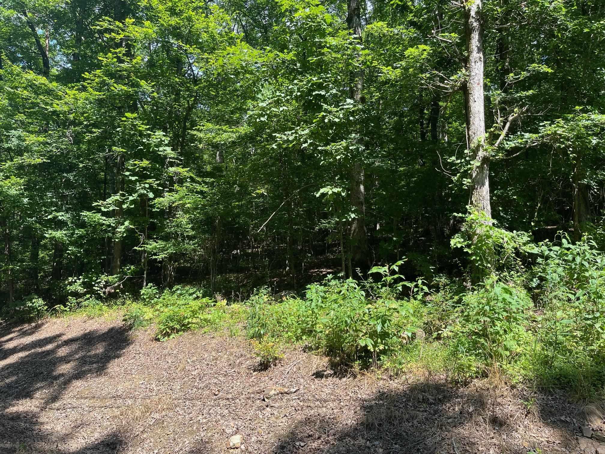 00-10-09 River - Land