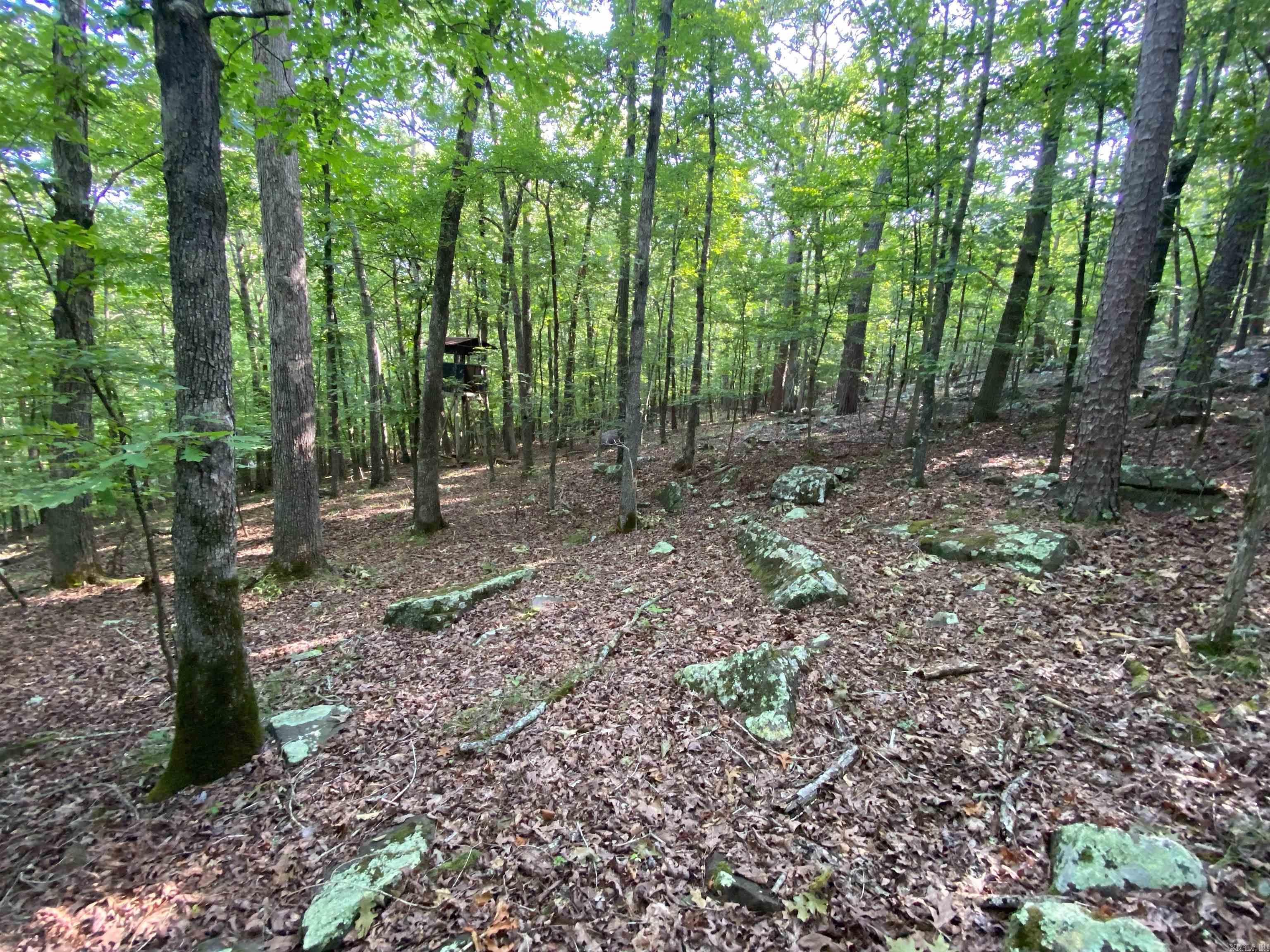 00-10-09 River - Land