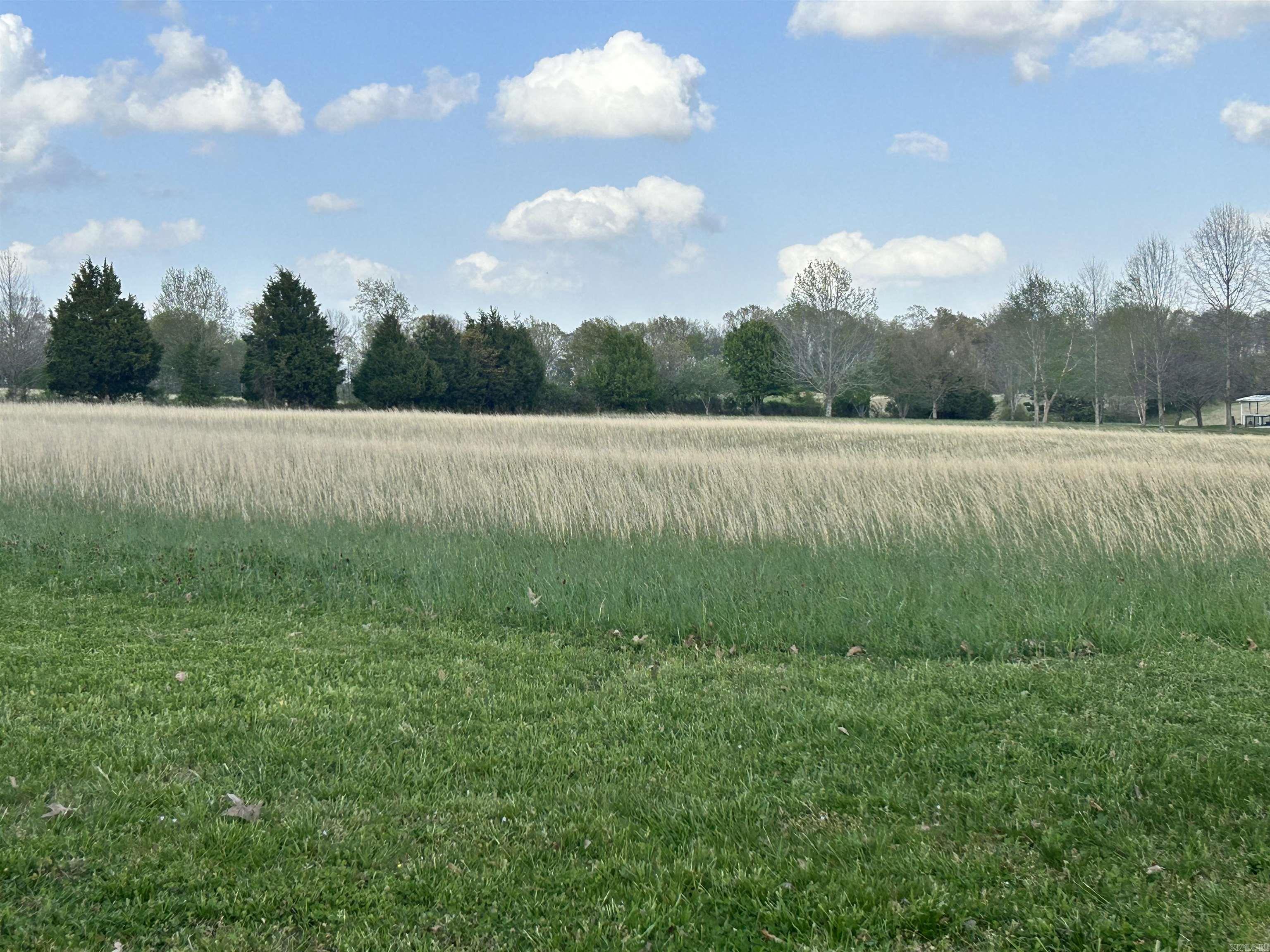 3 +/- acres, cleared and in Brookland Schools. Water and electric are available. County road paved property frontage.