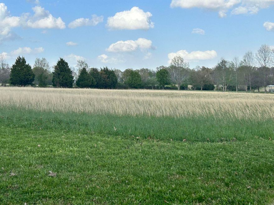 3 +/- acres, cleared and in Brookland Schools.  Water and electric are available. County road paved property frontage.
