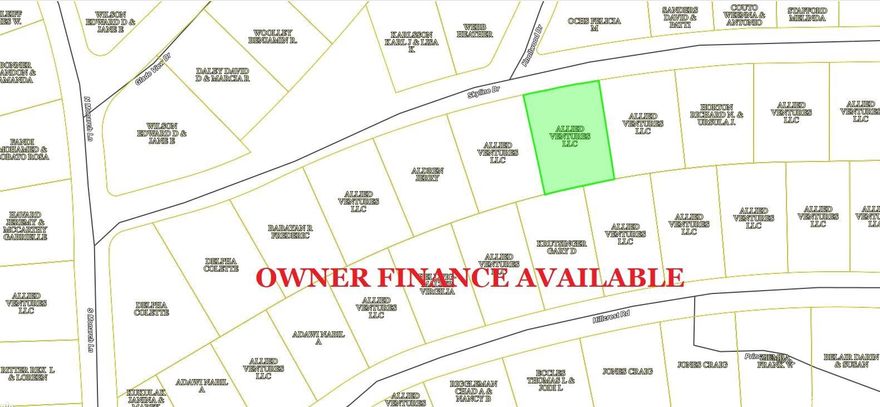 Owner-finance or cash. Area has water tap-in available, septic needed, propane needed, power available and great area amenities. Great for cabins & Airbnb investors. Simple owner-finance terms. Owner/Agent. Discount for purchasing 10 or more lots. Parcel# 800-05681-000